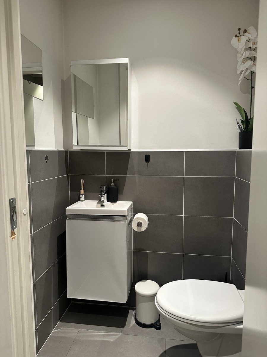 Toalett Galleribilde