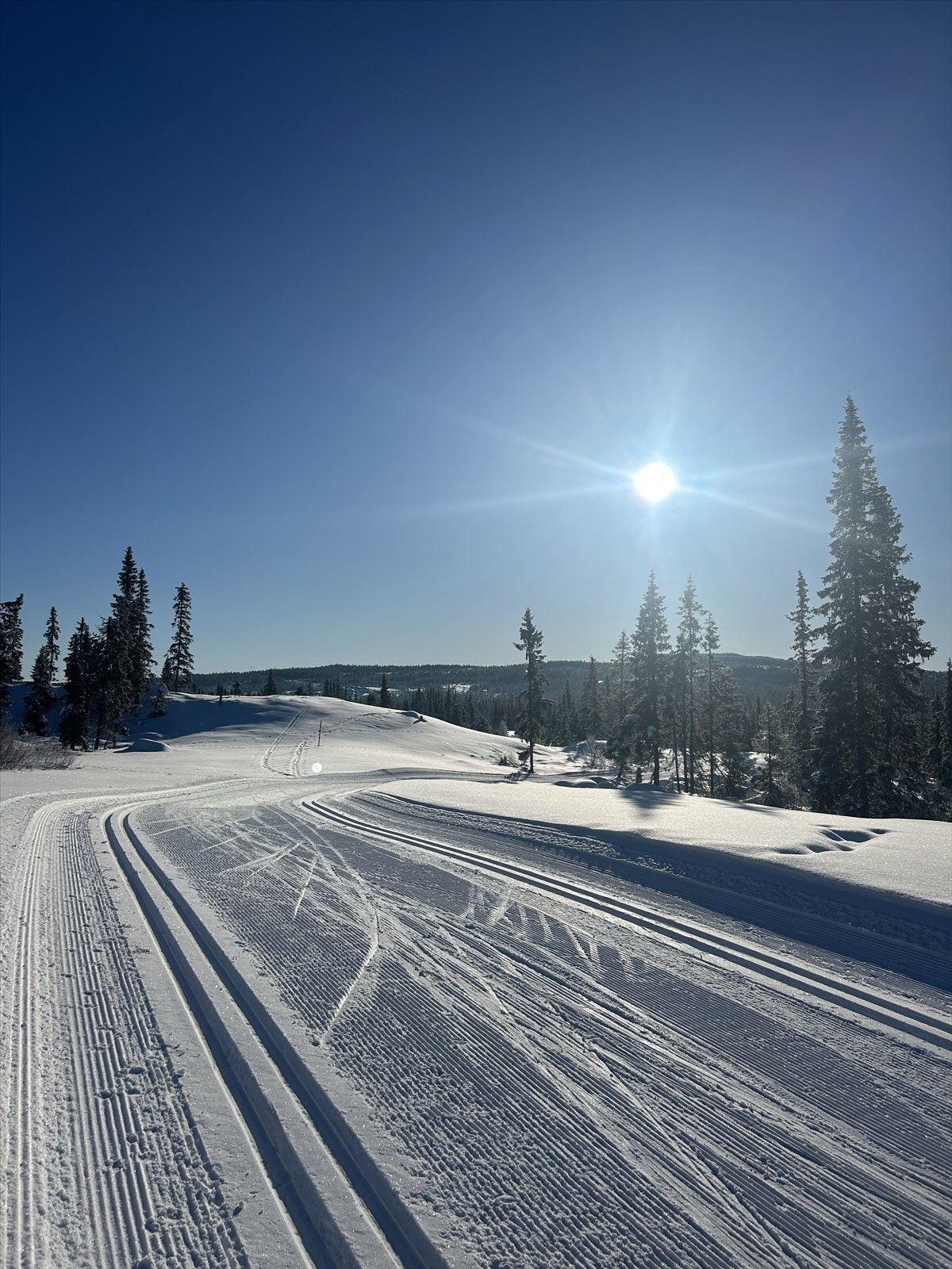 Skeikampen er virkelig et vinterparadis! Her har du milevis med langrennsløyper i verdensklasse! Galleribilde