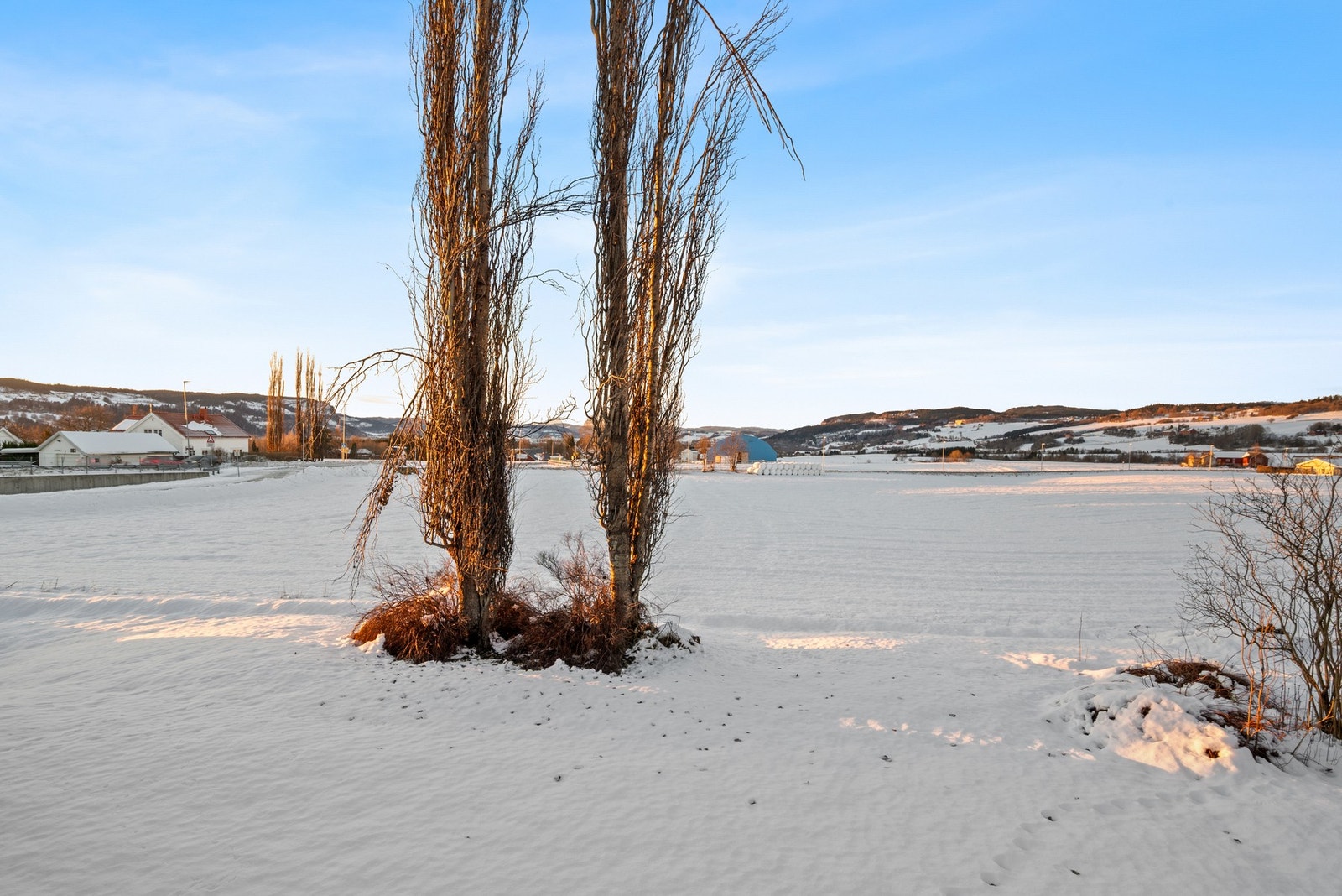 Tomta er flat, og på ca. 523 kvm. Hagen er flott opparbeidet med diverse beplantning og trær. Galleribilde