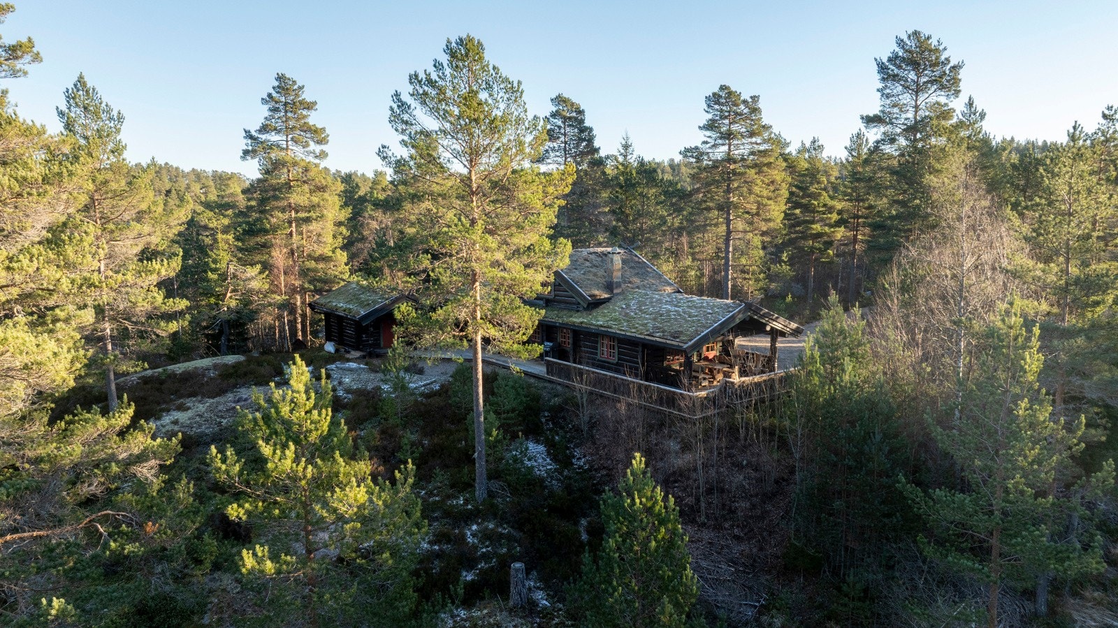 Uteområde. Galleribilde