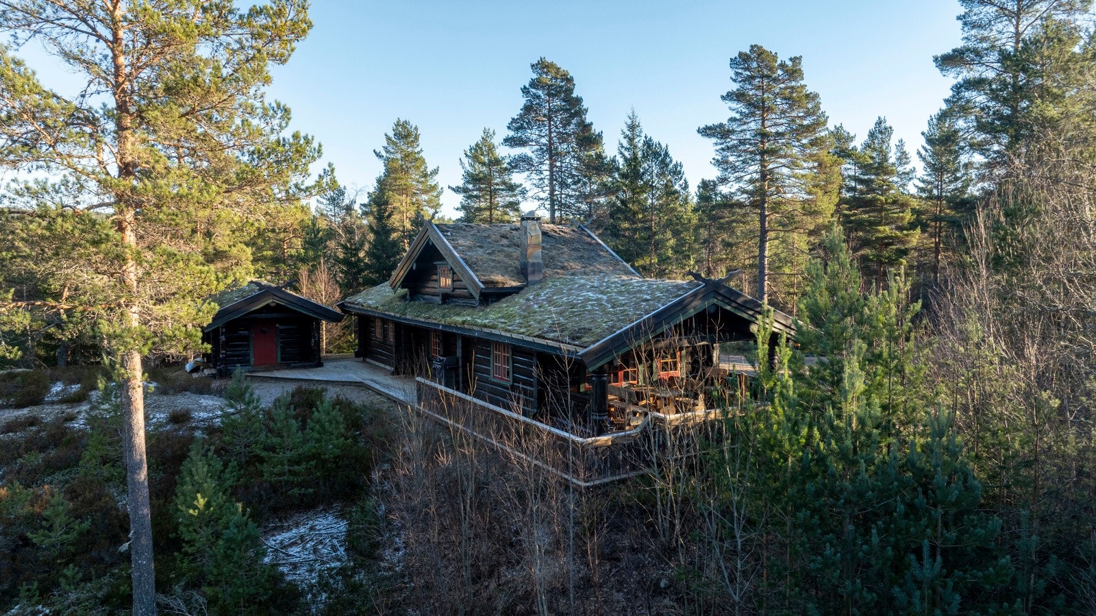 Uteområde. Galleribilde