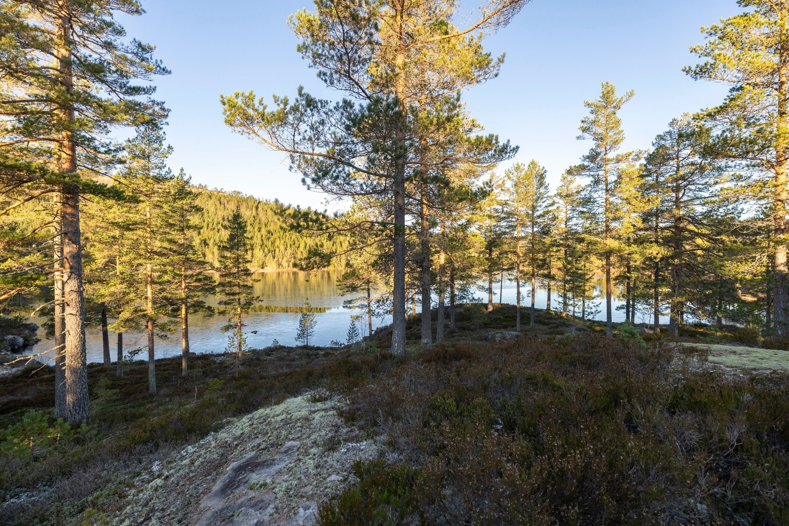 Havrefjell Hyttegrend ligger solrikt og idyllisk til i flotte fjellområder helt syd i Telemark - i Nissedal kommune, ca. 450 moh. Galleribilde