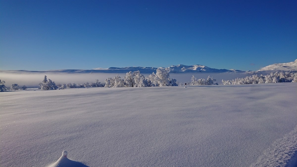 Landskapet med Slettefjellene, Mugnetind og Bitihorn er fantastisk! Galleribilde