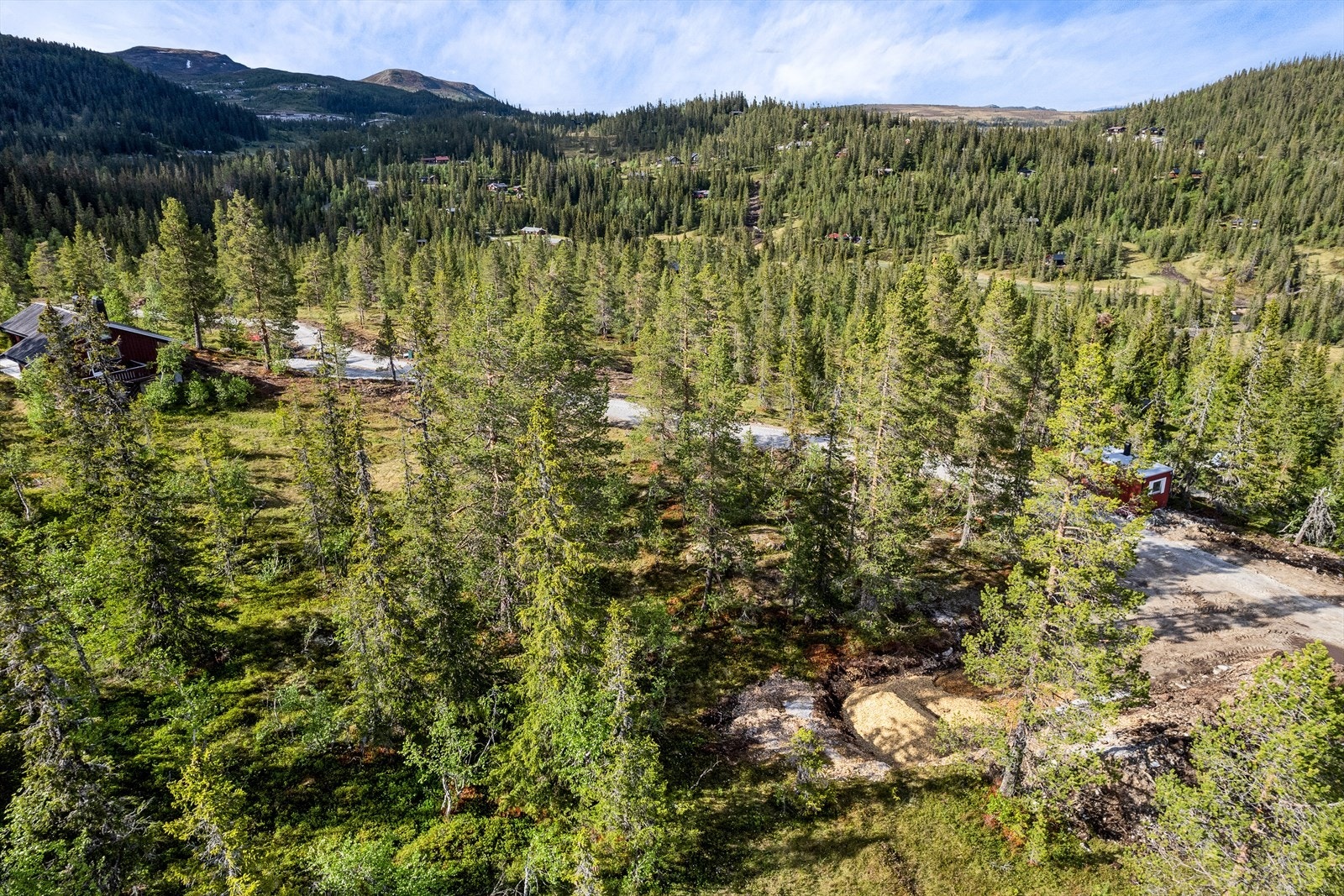Herfra er det kort avstand til fantastiske friluftsområder. Veggli fjellstue og Veggli Skisenter som kan by på noe for enhver smak. Galleribilde