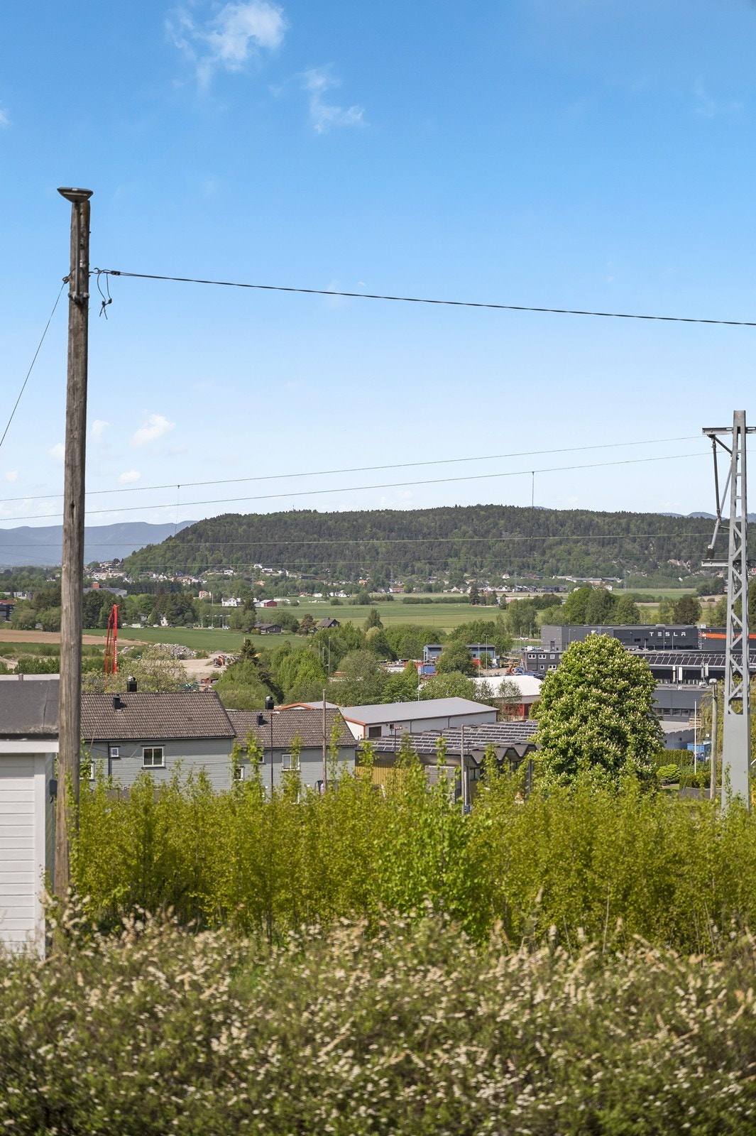 Utsikt. Galleribilde