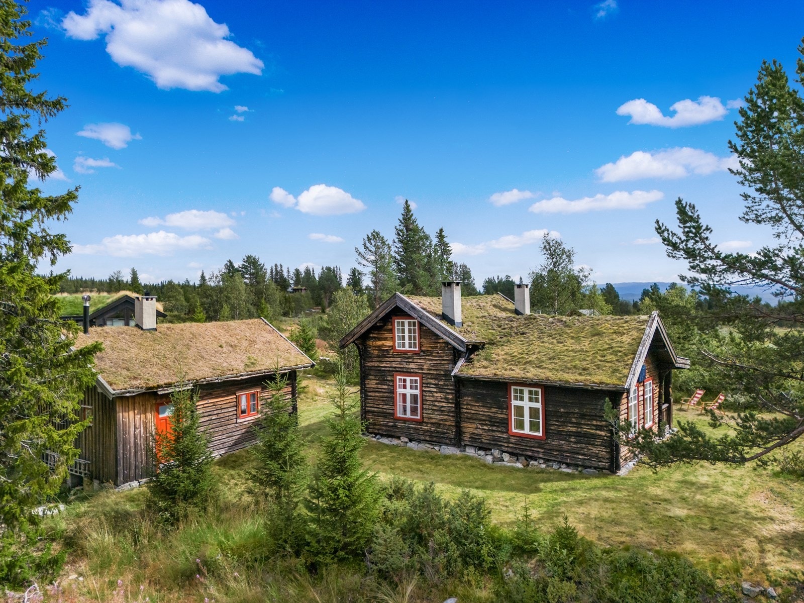 Velkommen til fjells og på visning! Galleribilde