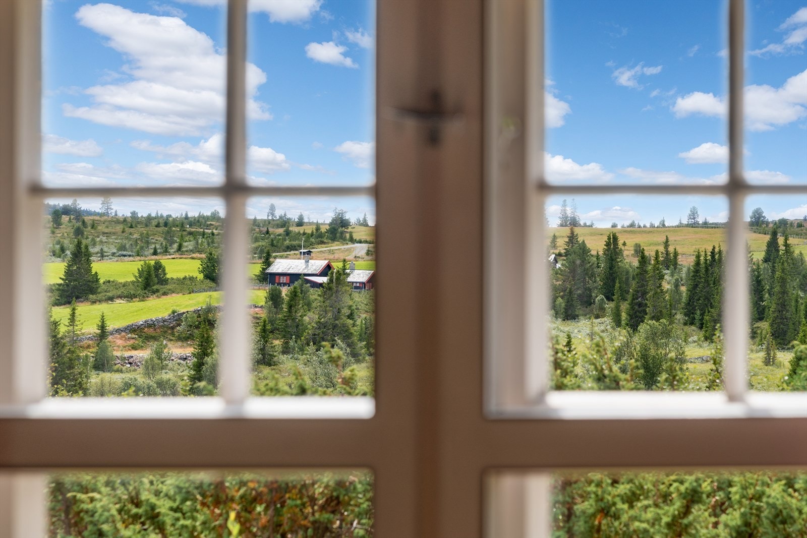 Godt utsyn og ikke videre utbygging foran hytta. Galleribilde