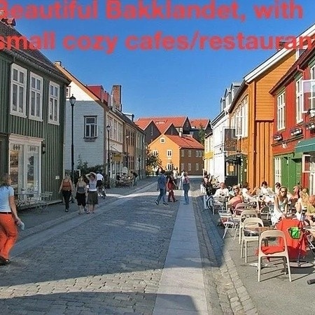 Nydelig Bakklandet Galleribilde