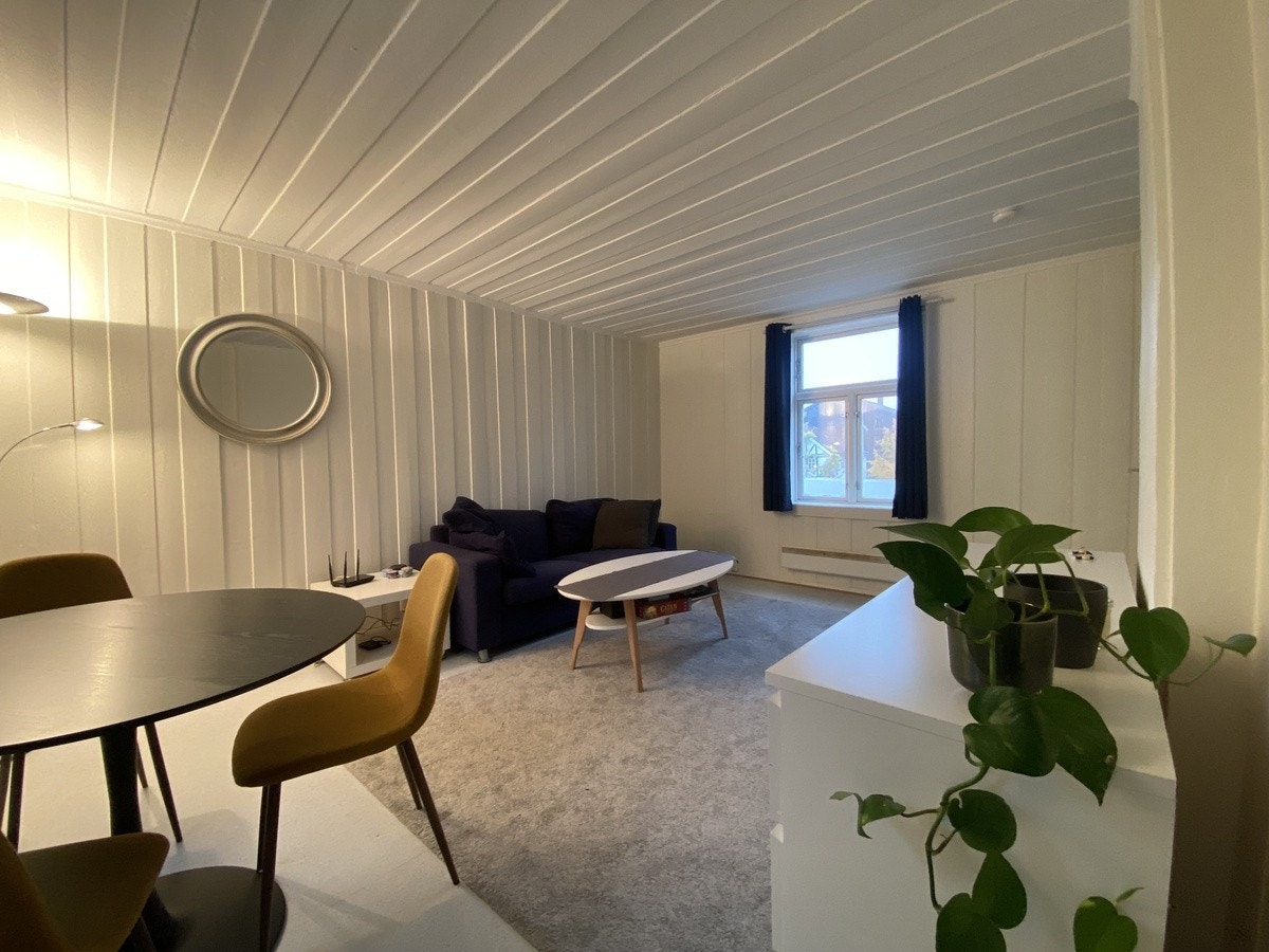 Stor fin stue Galleribilde