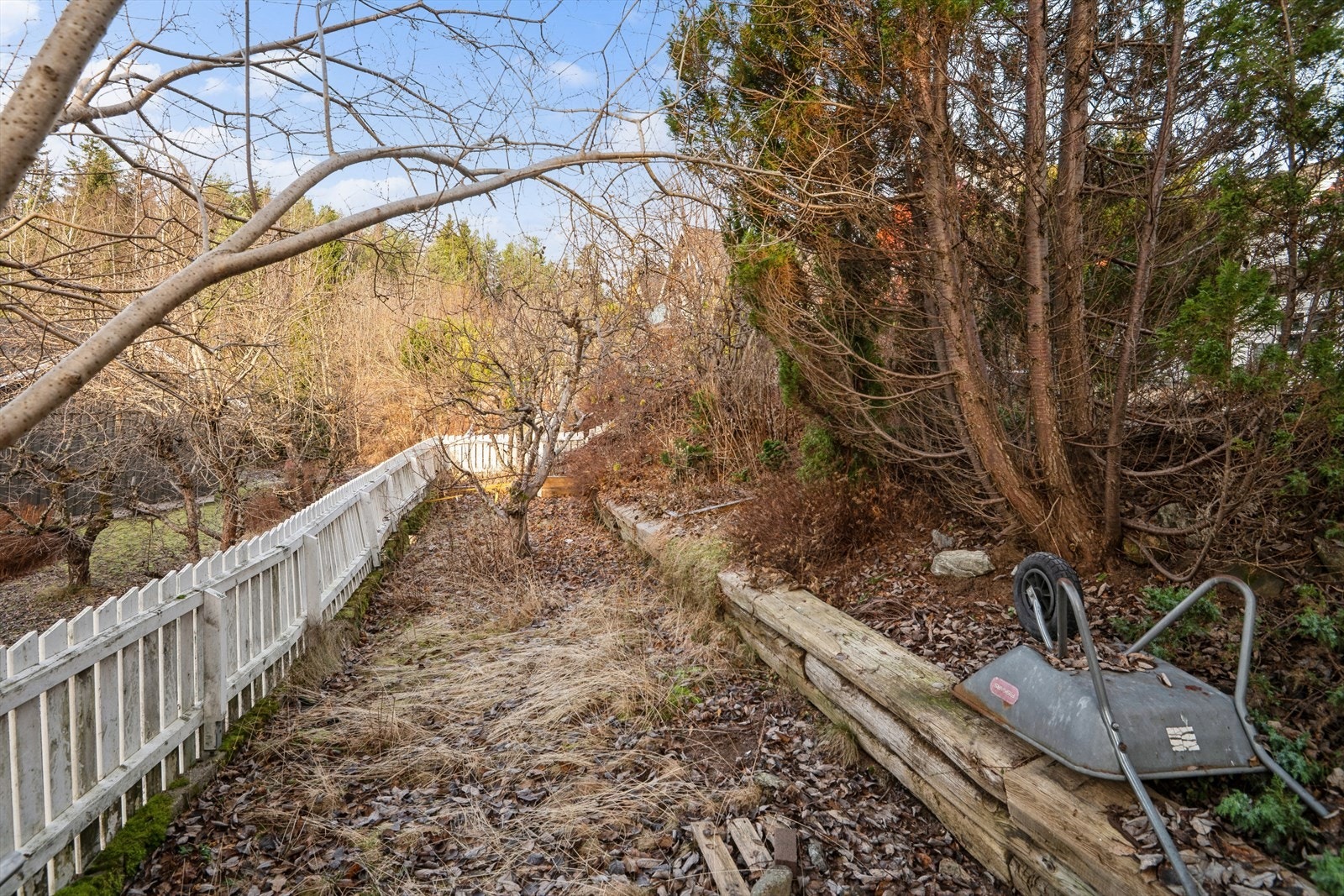 Hagen er i dag litt igjengrodd, men med kjærlighet vil du kunne lage en grønn oase her ute. Galleribilde