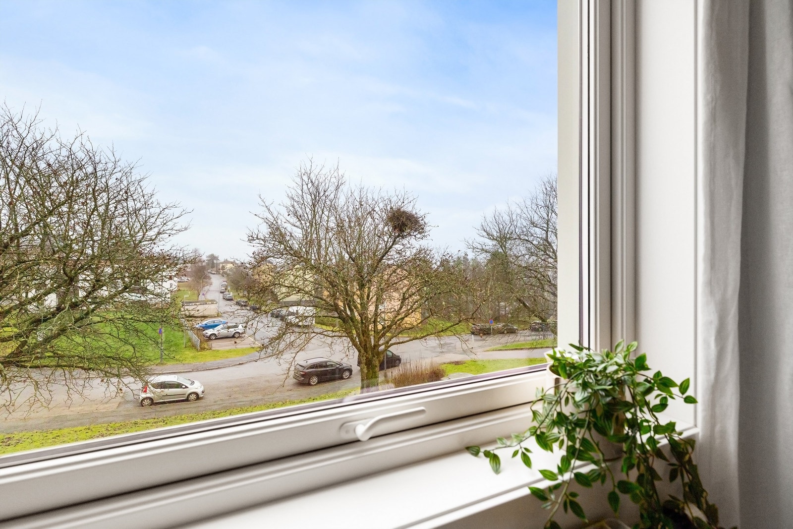 Åpen og frodig utsikt med lite direkte innsyn Galleribilde