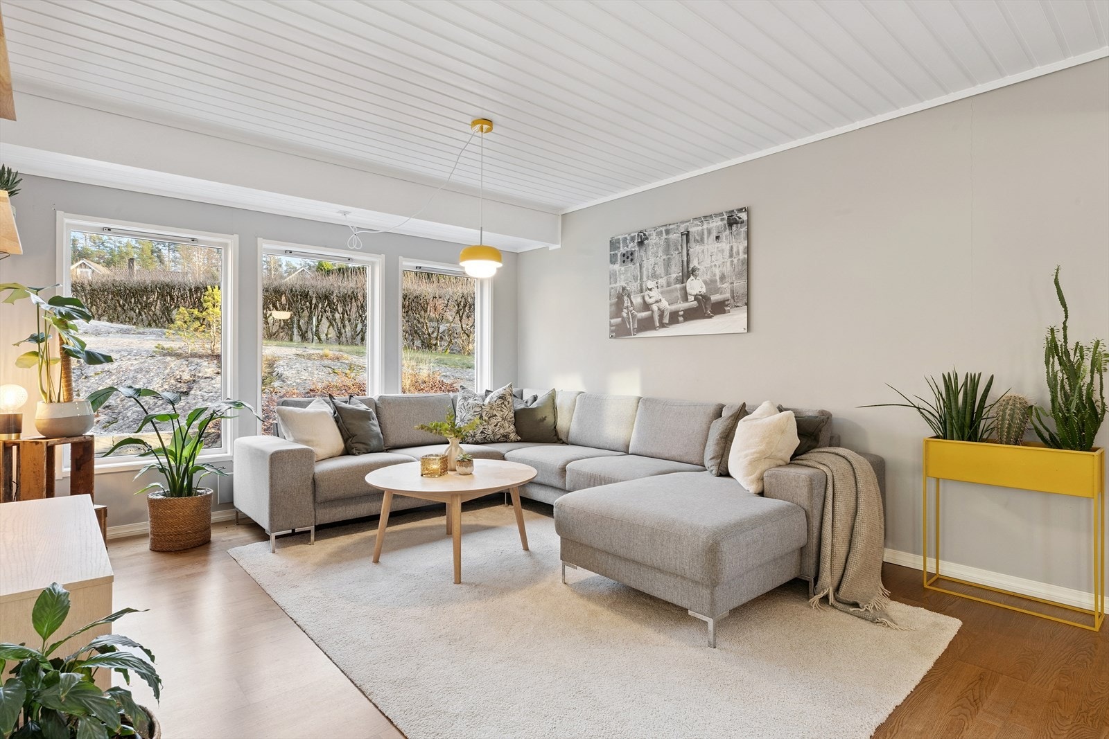 Store vinduer gir deg godt med dagslys. Galleribilde