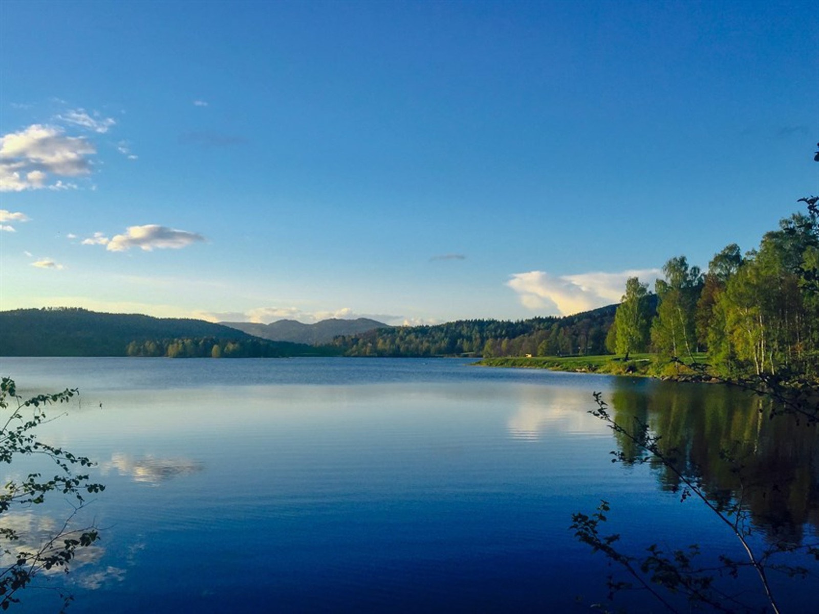 Idylliske Bogstadvannet og inngang til marka like ved. Også gode bademuligheter Galleribilde