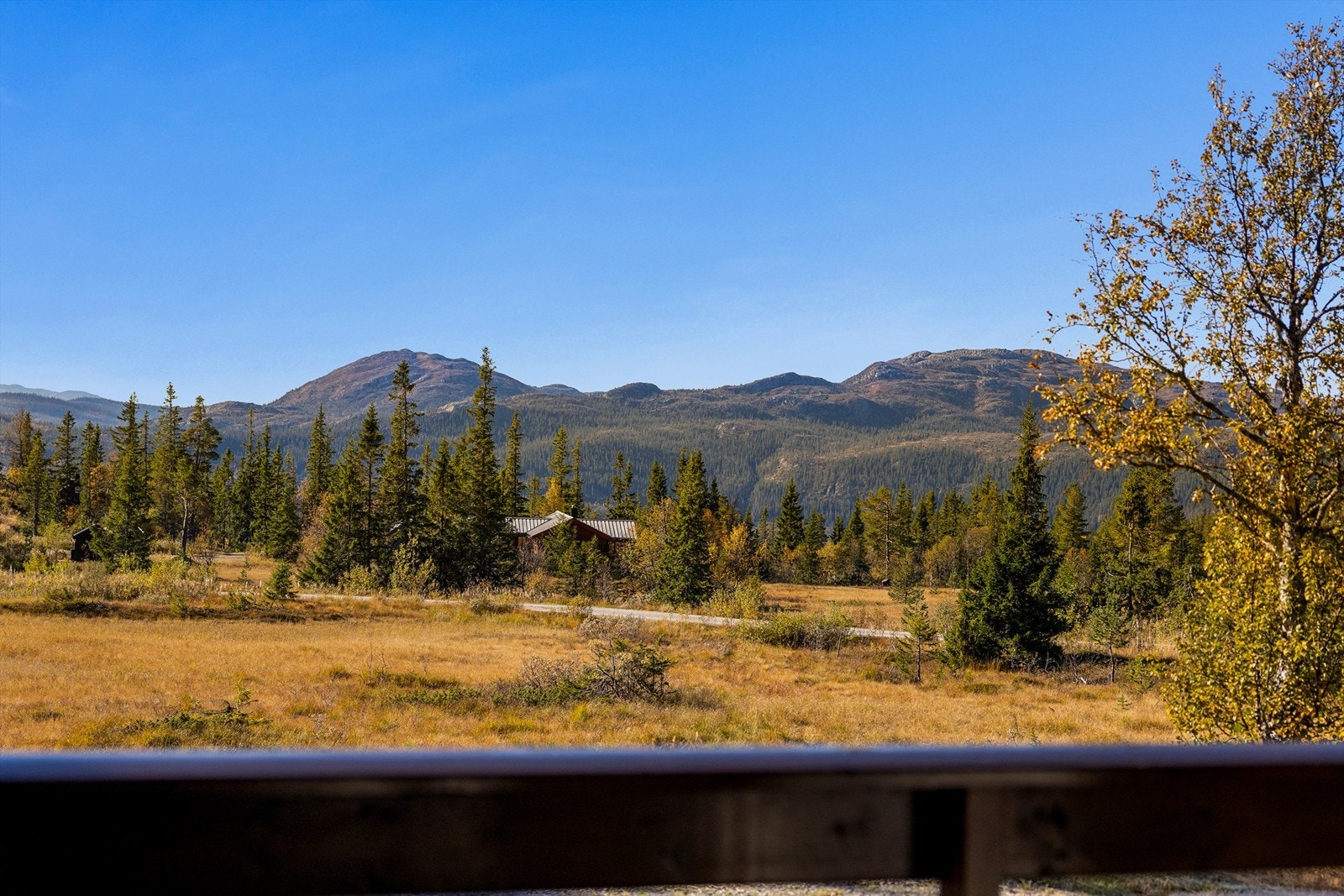 Om sommeren kan man bade og fiske i nærliggende fjellvann. Galleribilde