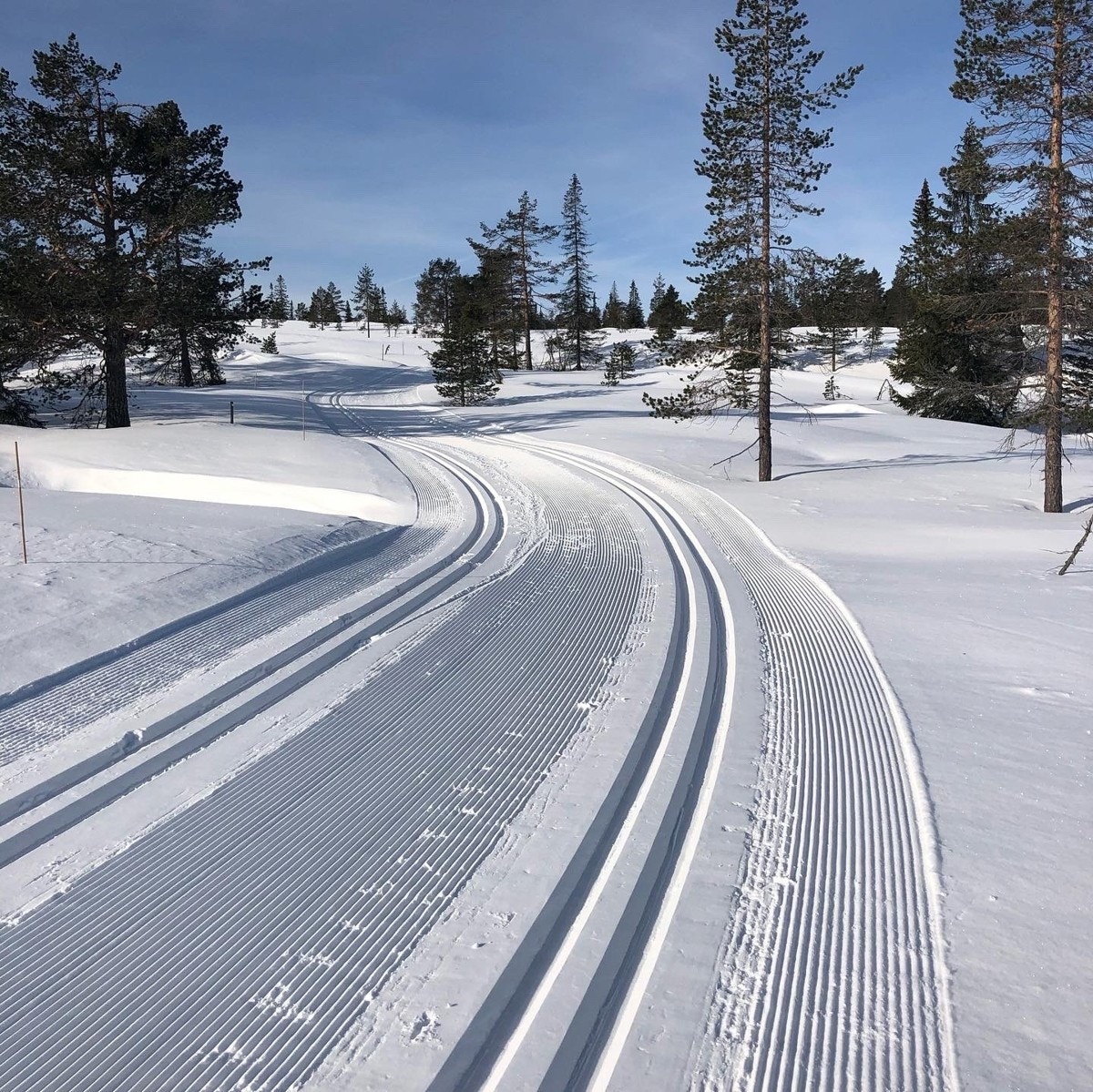Vinterstid kjøres det opp flotte skiløyper i variert terreng, med traseer som passer for både små og store. (Selgers bilde) Galleribilde
