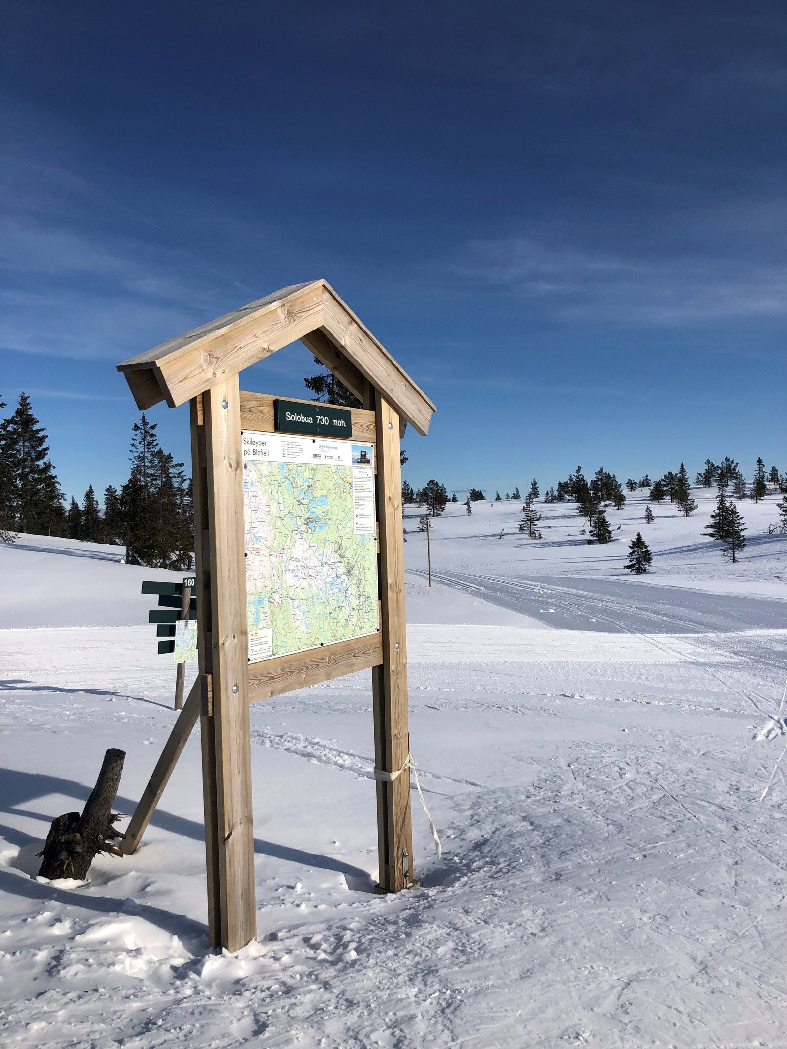 Løypenettet er tilgjengelig i kort avstand fra eiendommen. (Selgers bilde) Galleribilde