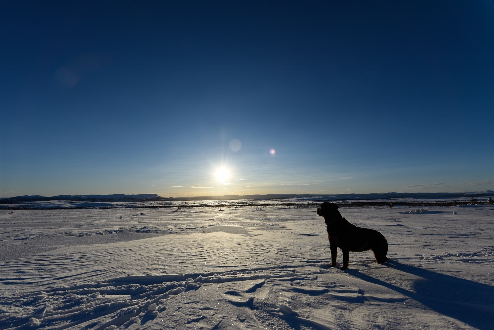 Liker du turer i skog og marka, både sommer som vinterm så har du mulighet for det rett utenfor døra på hytta. Galleribilde