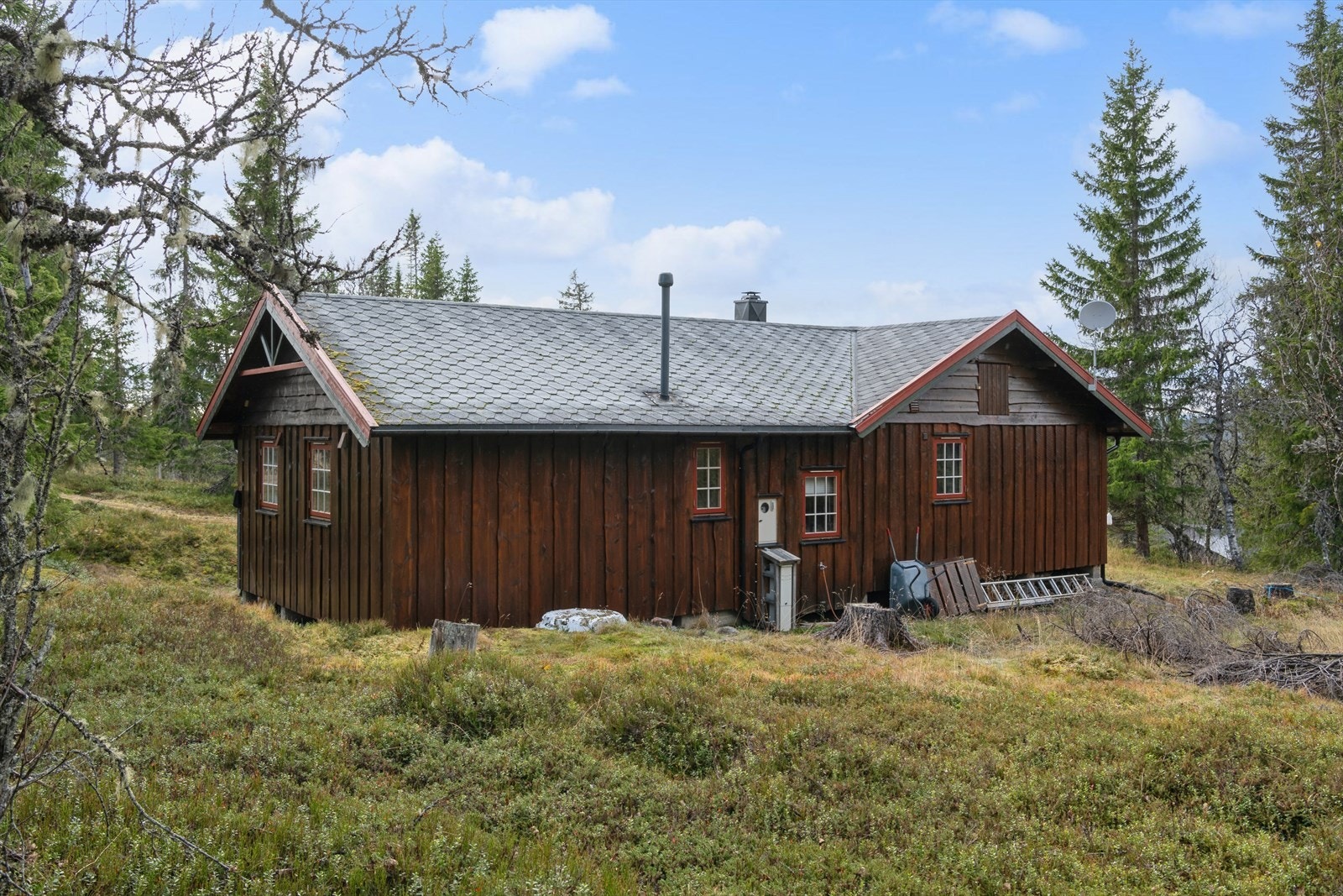 Uteområde. Galleribilde