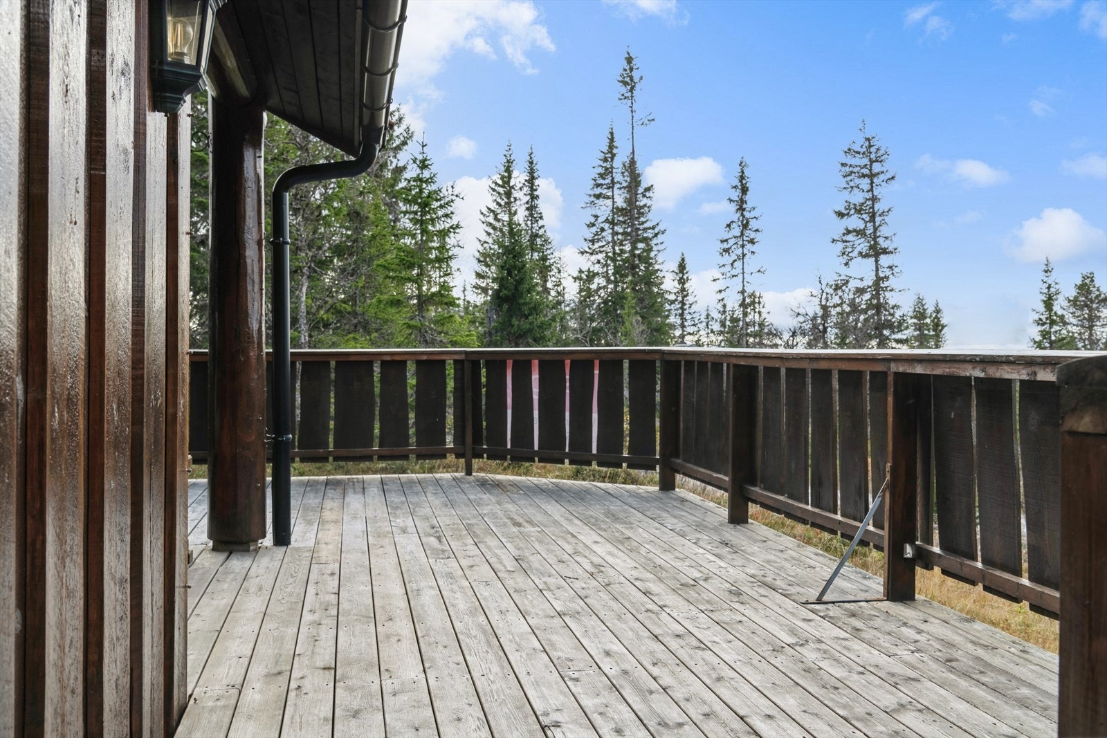 Terrasse. Galleribilde