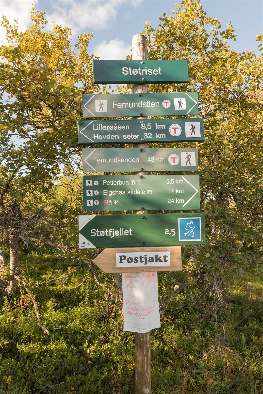 Utallige muligheter for både korte og lange turer . Galleribilde