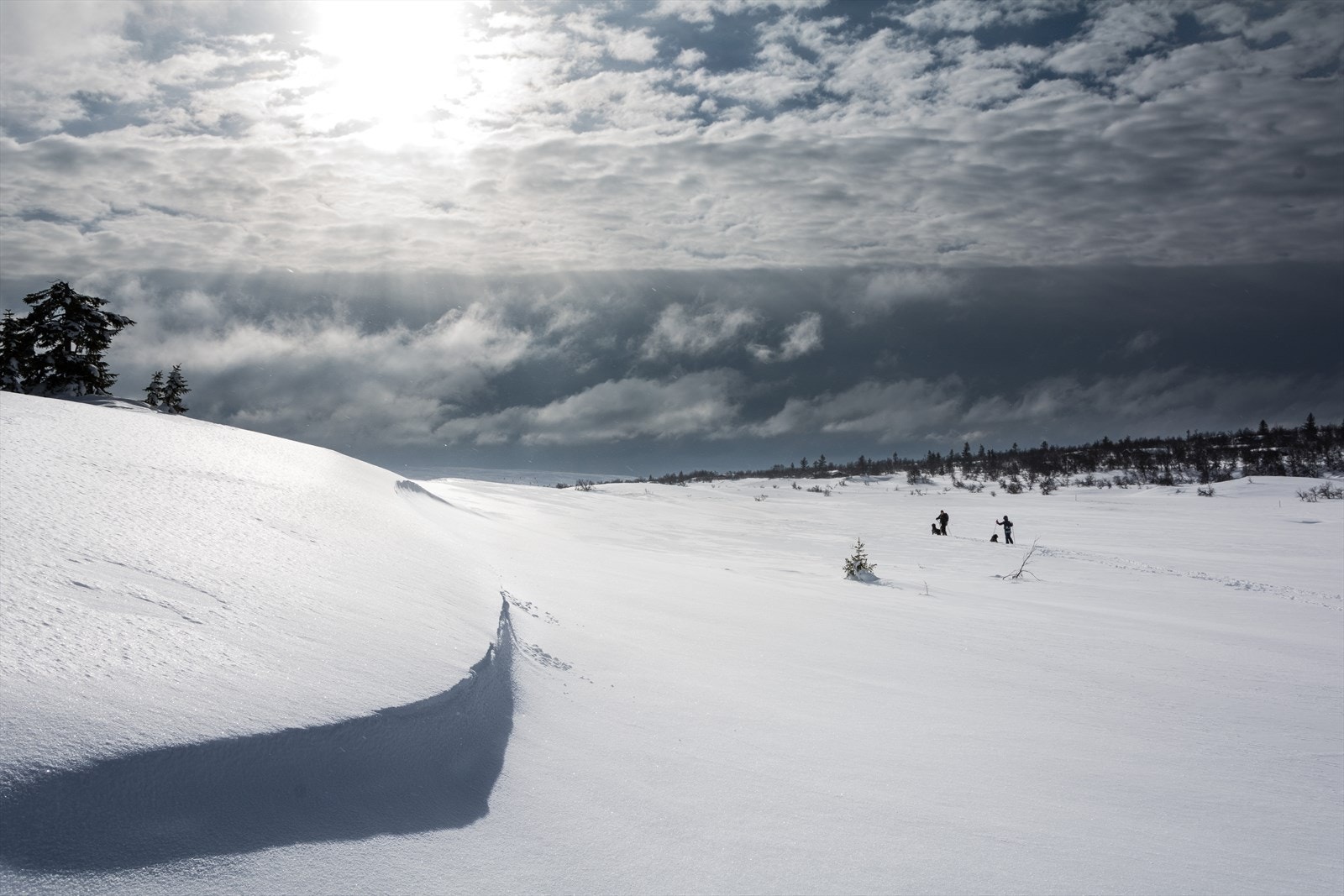 Bittermarka rett utenfor døra. Galleribilde