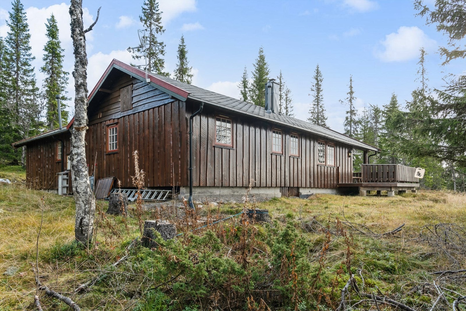 Det er direkte adkomst fra terrassen ut i naturen. Galleribilde