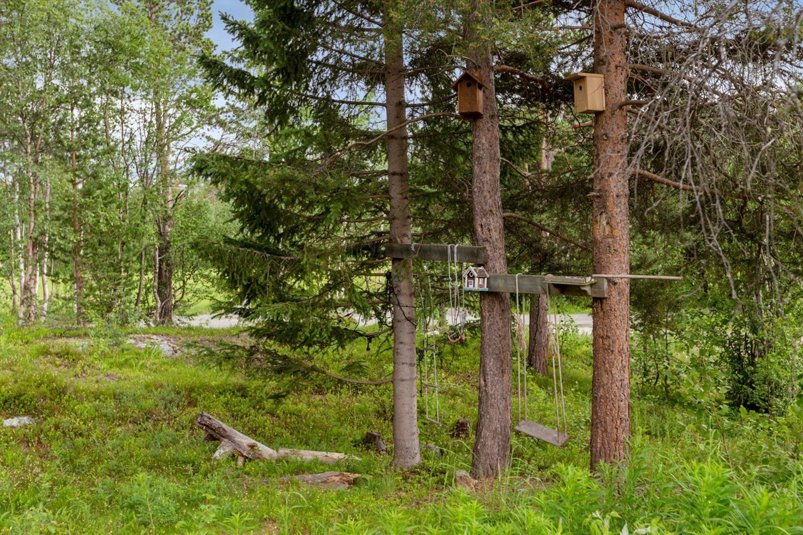 På tomten kan man også nyte ytende dyreliv, her fra ekornplassen Galleribilde
