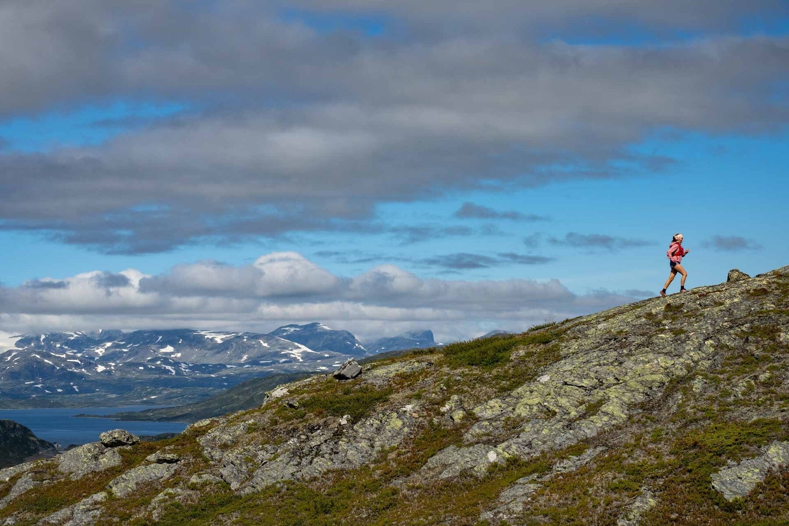 Flotte stier for å løpe, sykle eller gå Galleribilde