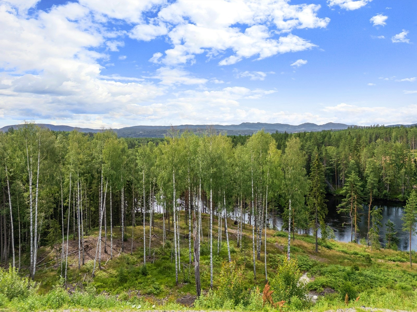 Dronebilde over området (fra sommeren 2024) Galleribilde