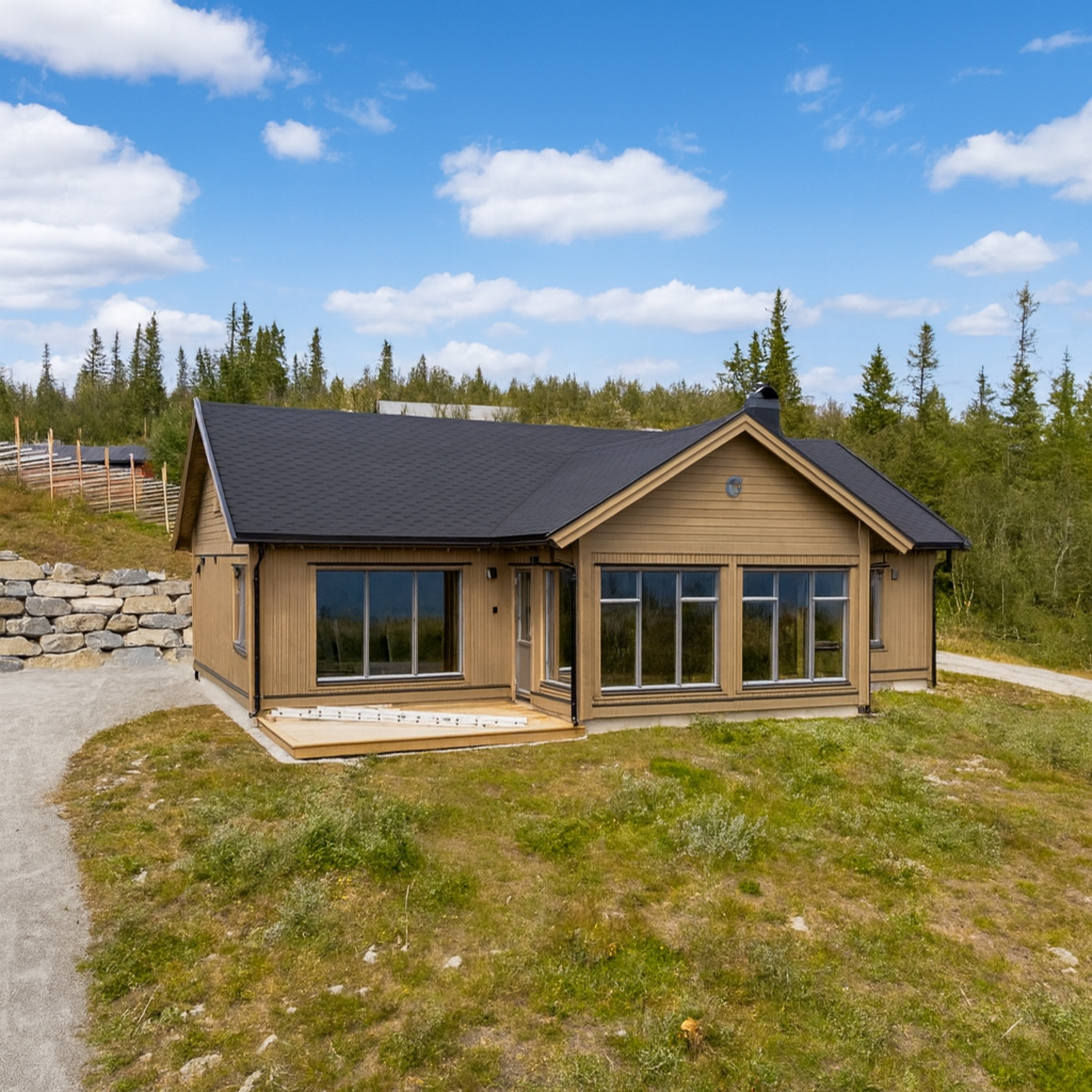 Like fint sommer som vinter. Illustrert med naturtomt. Galleribilde