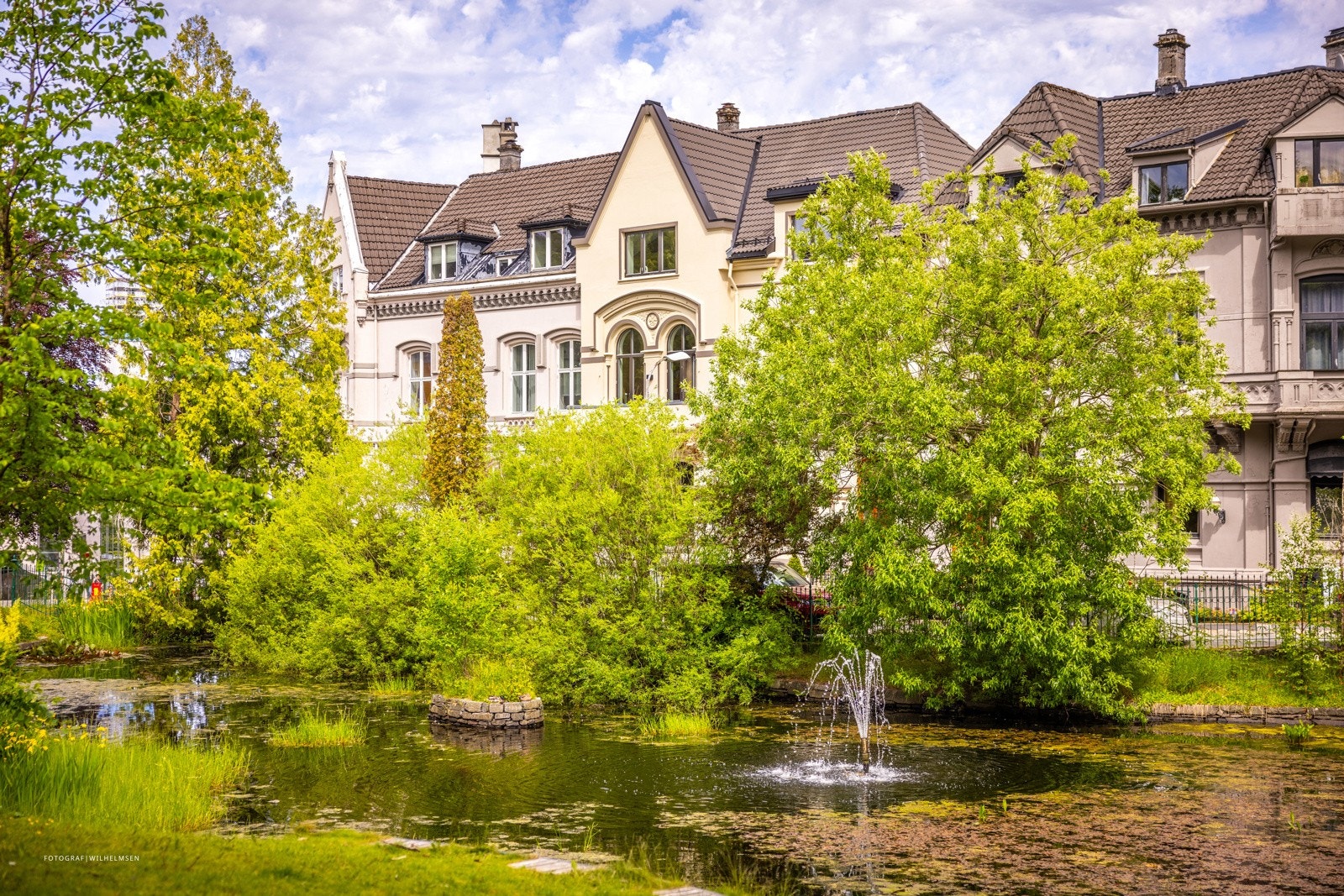 - Trærne som flankerer veien, kombinert med andre små, grønne lommer, skaper en følelse av nærhet til naturen midt i byen - Galleribilde