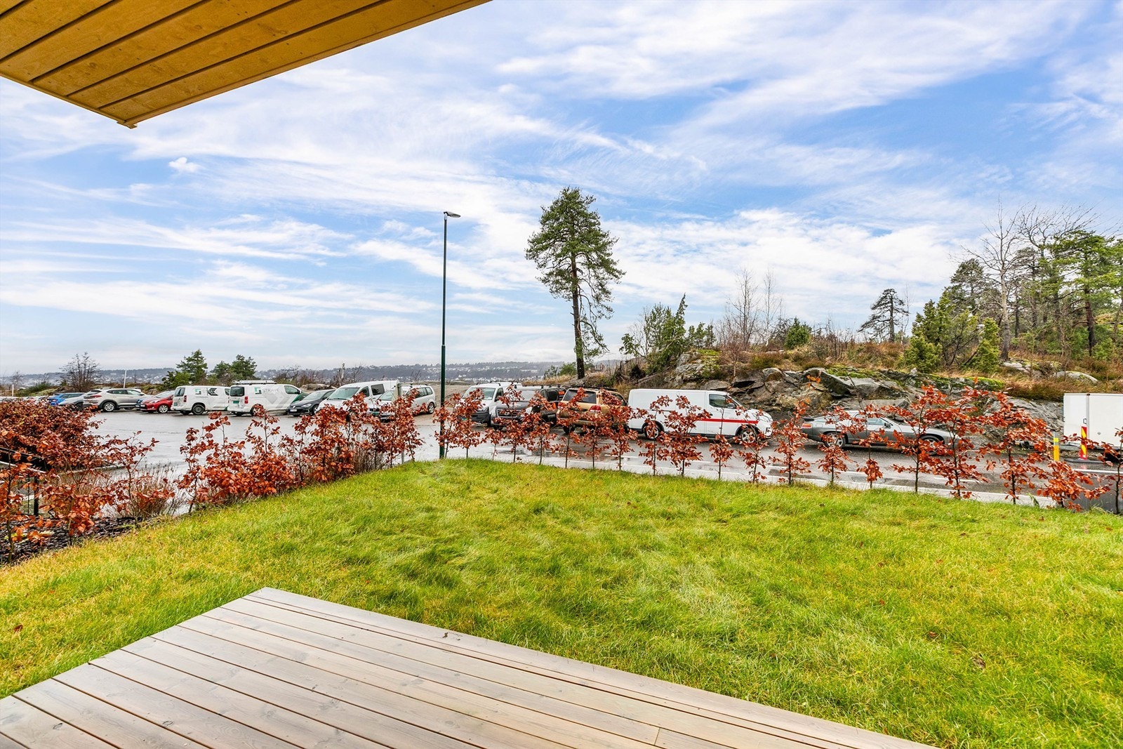 Hekken som er plantet vil med tiden vokse høyere og gi tettere skjerming. Galleribilde