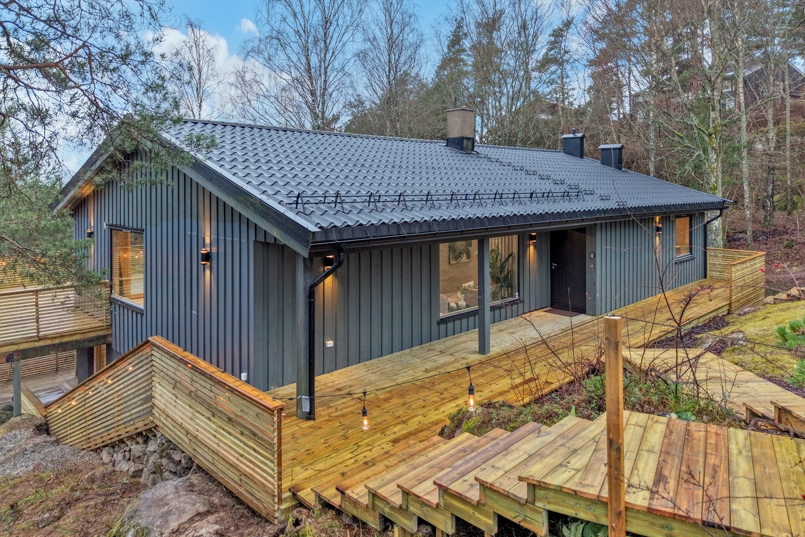 Enebolig Galleribilde