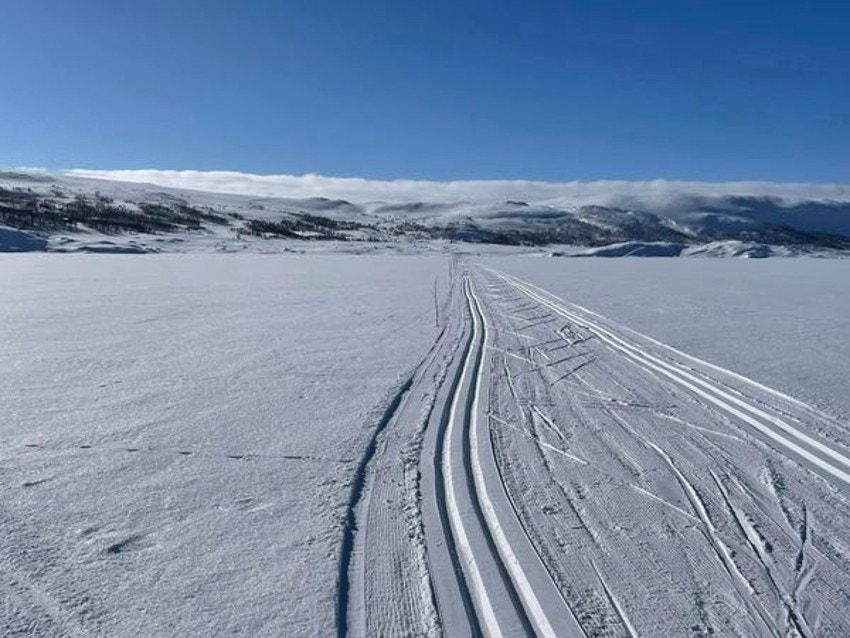 Selgers bilde Galleribilde