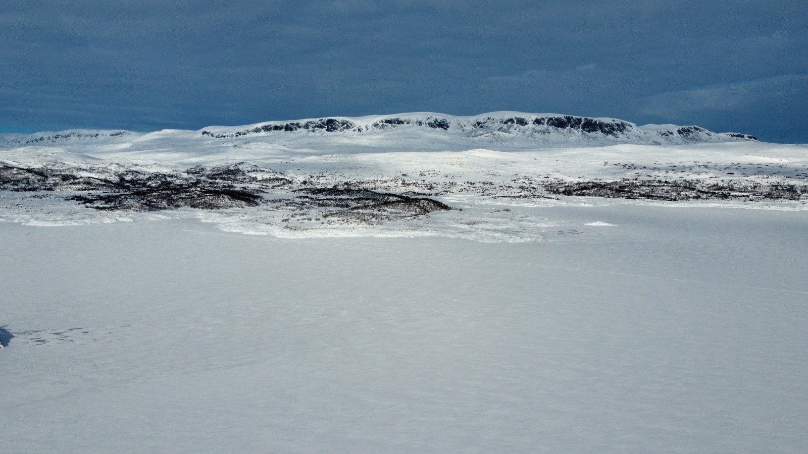 Velkommen på visning Galleribilde