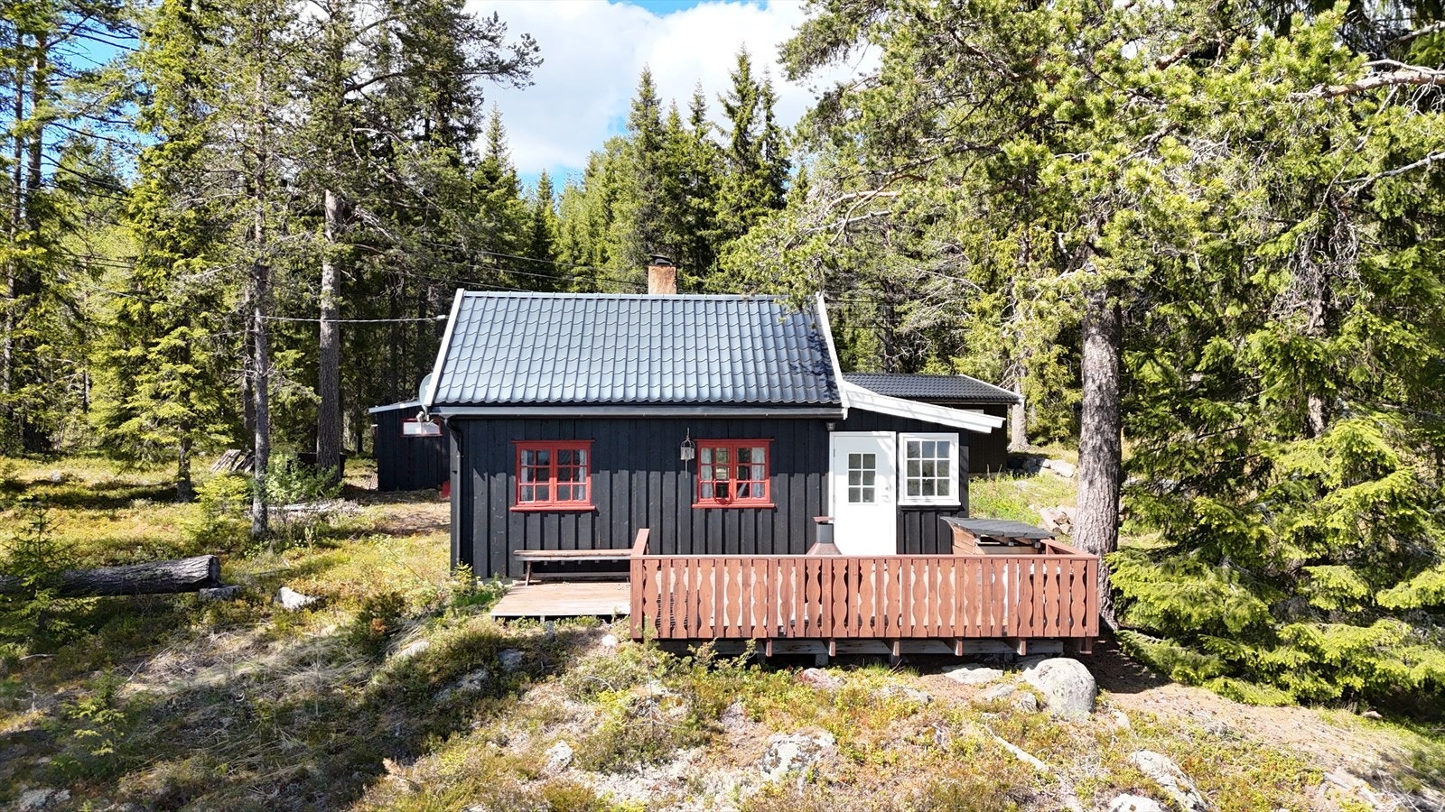 Hytta på sommerstid. Galleribilde