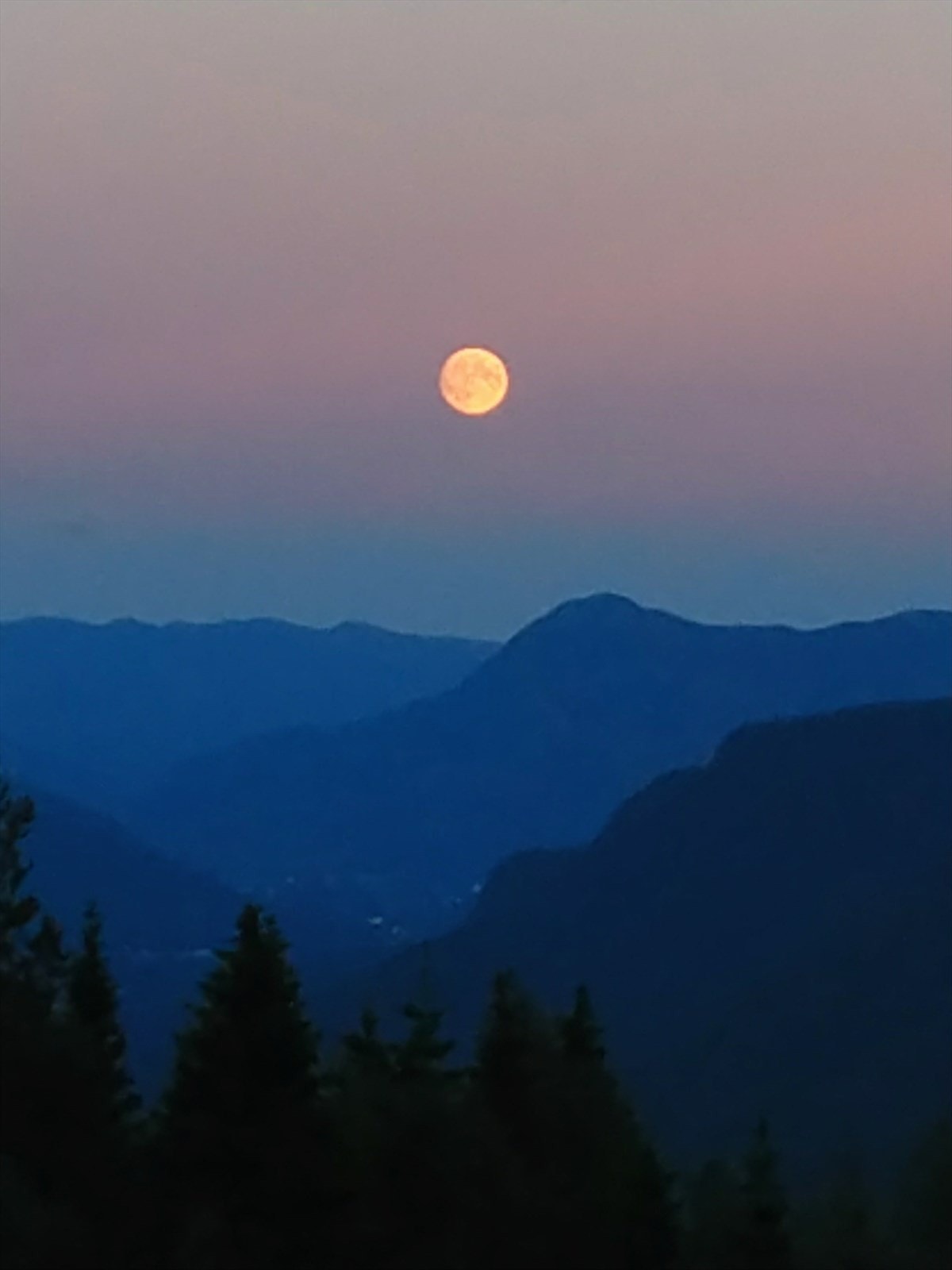 Utsikt fra verandaen. Galleribilde