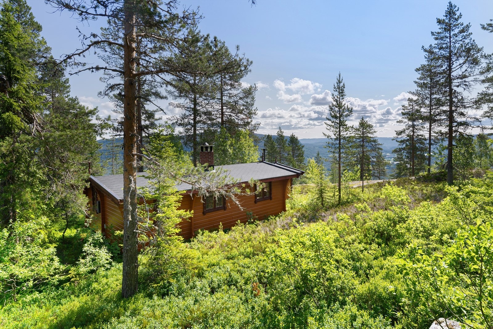 Hytten har nærhet til fine turområder, både sommer og vinter. Flotte, oppkjørte skiløyper finner man ca 600 m fra hytta. I nærheten av hytta ligger også Blåberg cafe og Djupevatnet. Galleribilde