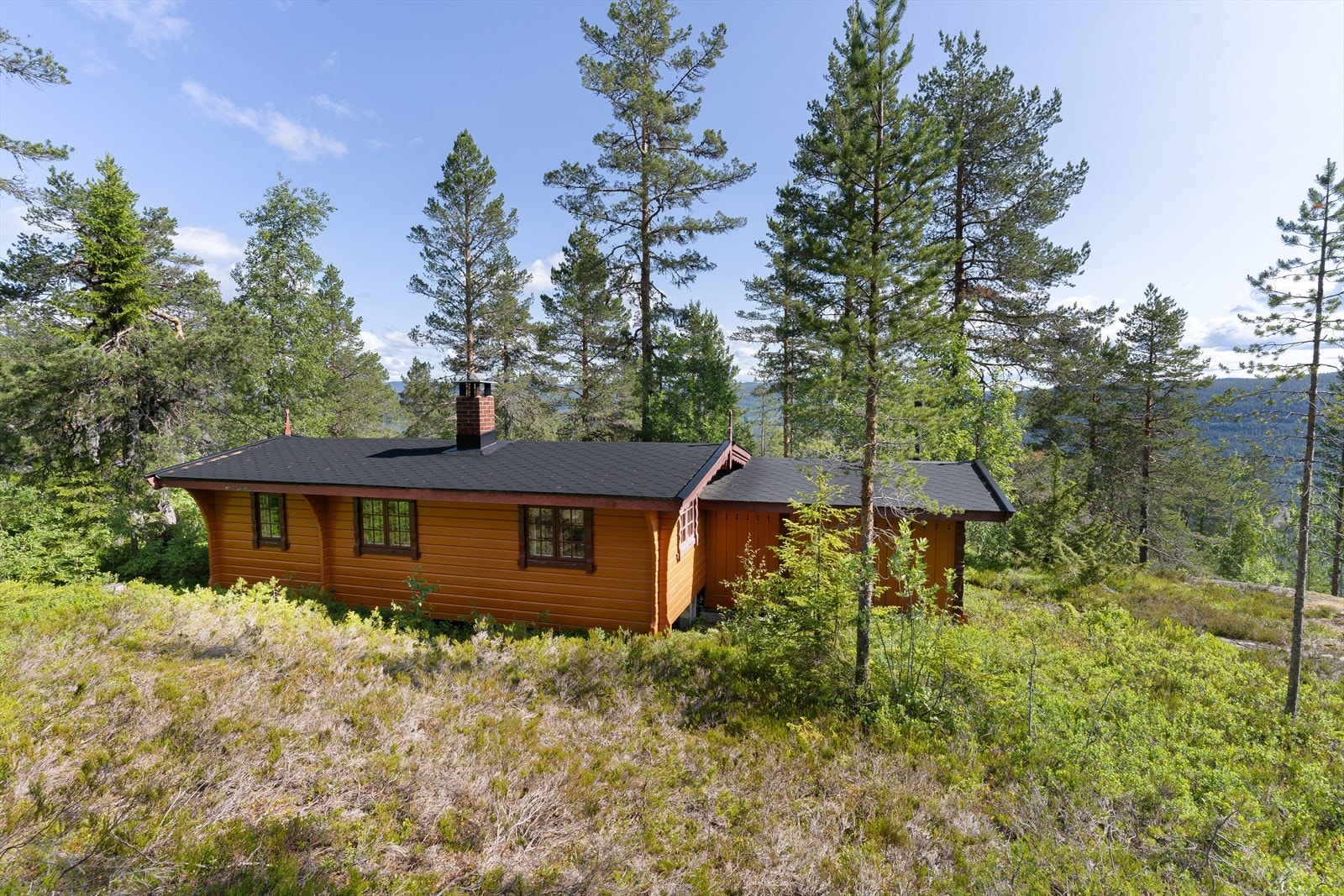 Velkommen til Juvenesvegen 288! Galleribilde