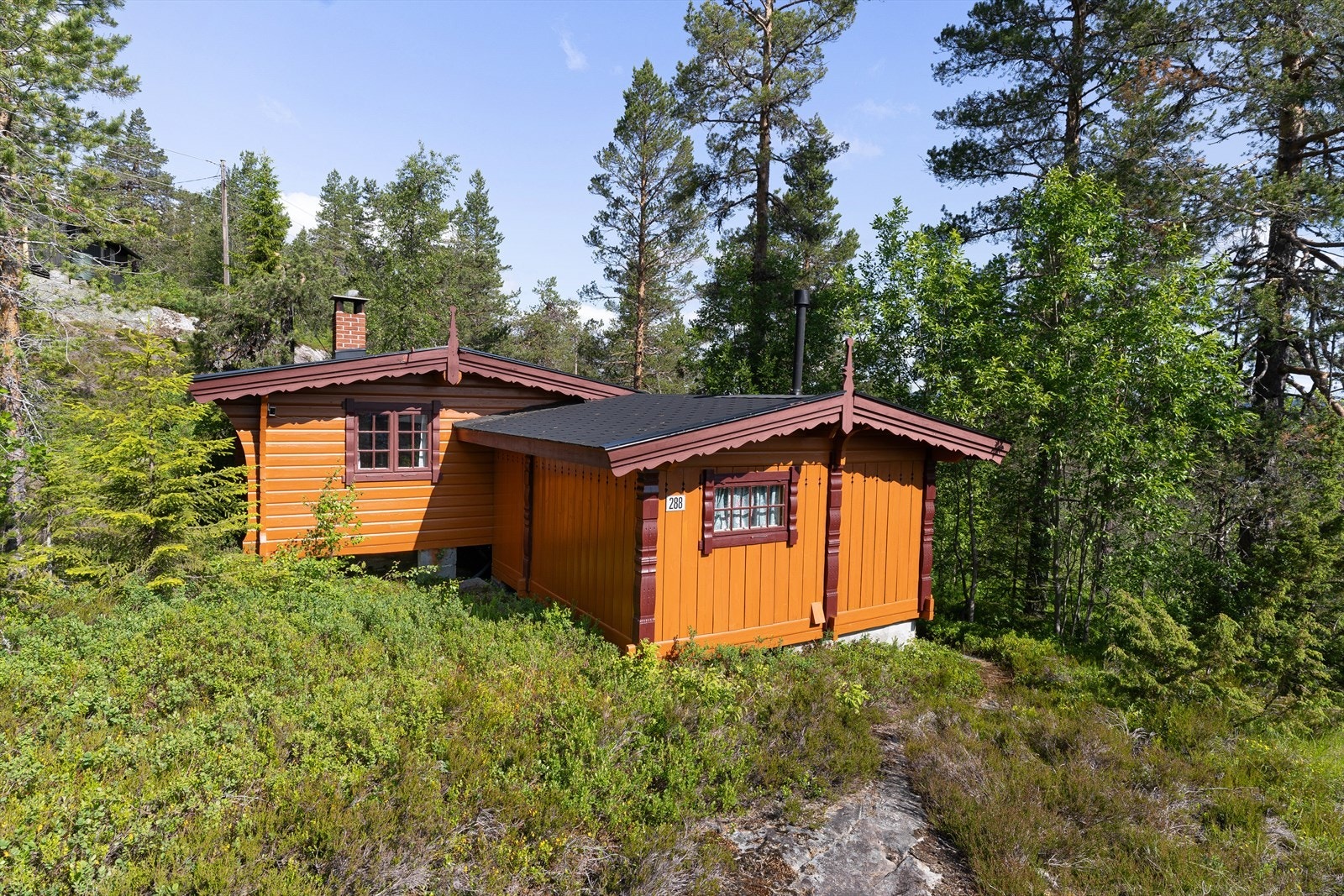 Velkommen til fjells! Galleribilde