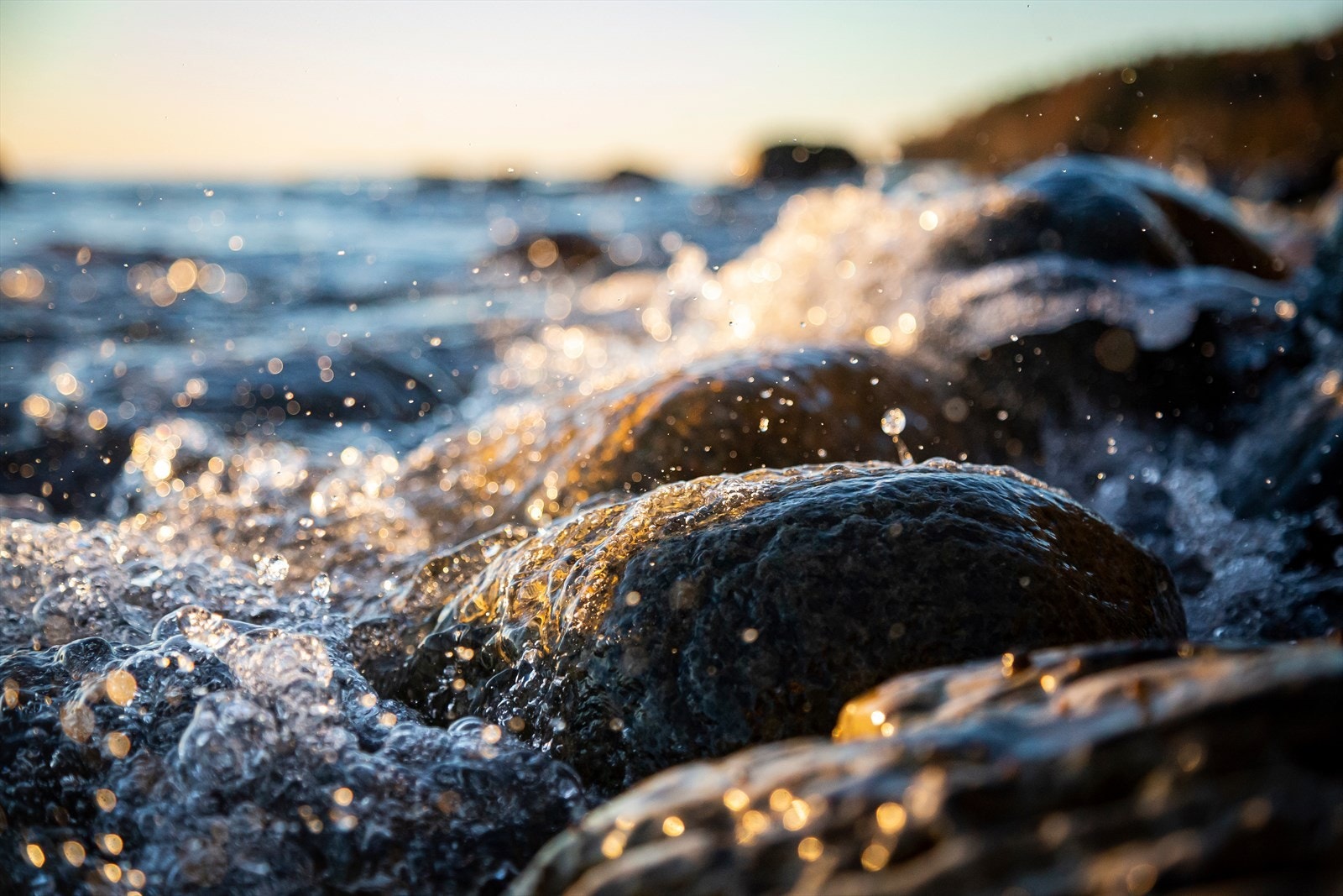 AdobeStock_362922625.jpeg Galleribilde