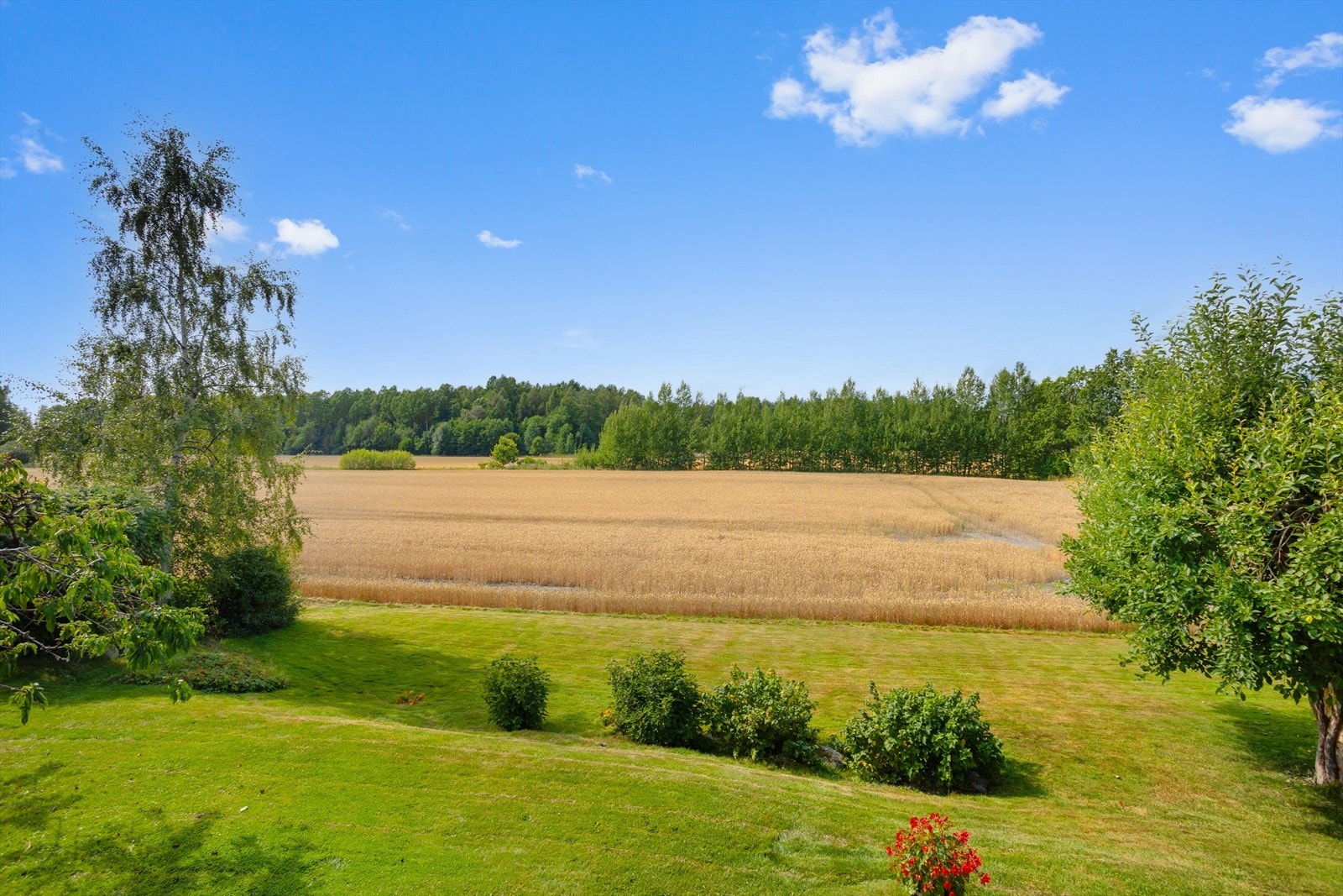 Med innmark som nærmeste nabo i vestlig retning, får du en åpen og landlig utsikt. Galleribilde