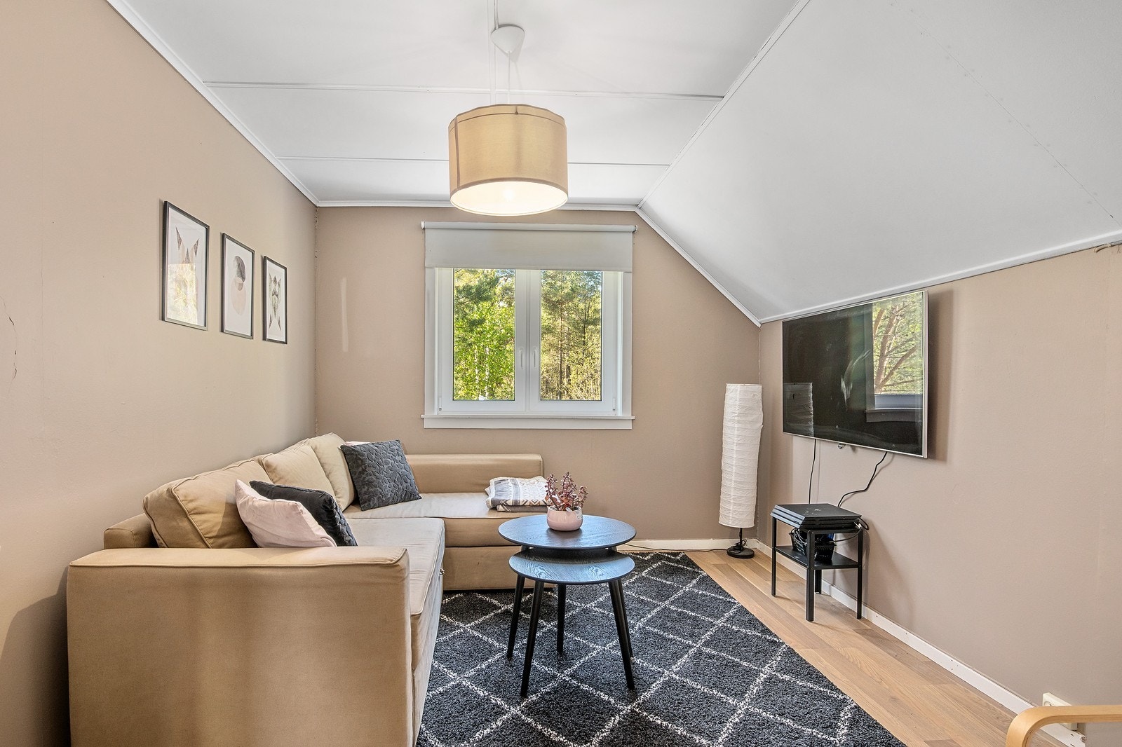 Tv-stue eller soverom. En romslig enebolig med rom som kan ha flere navn. Galleribilde