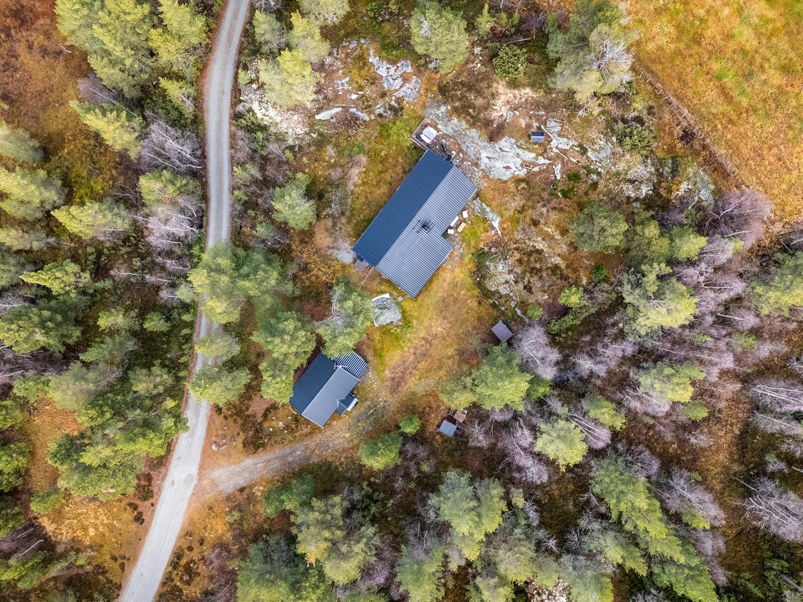 Oversikt tomt Galleribilde