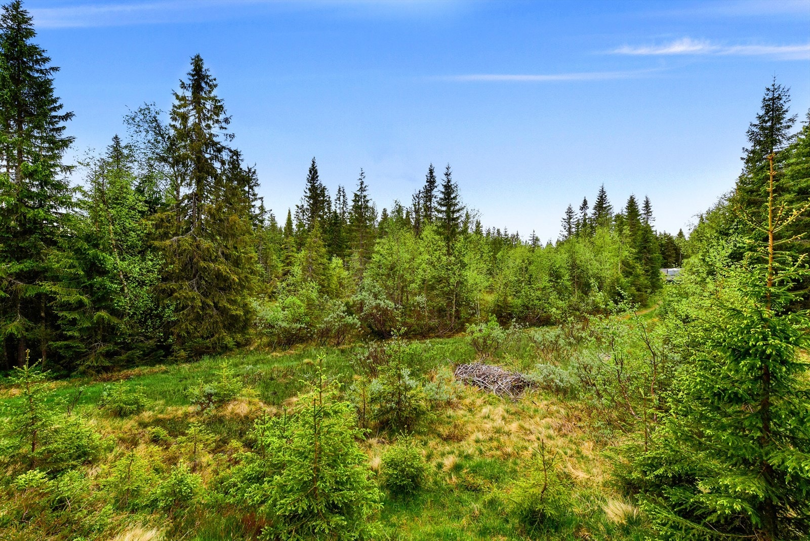 DSC9079 Galleribilde