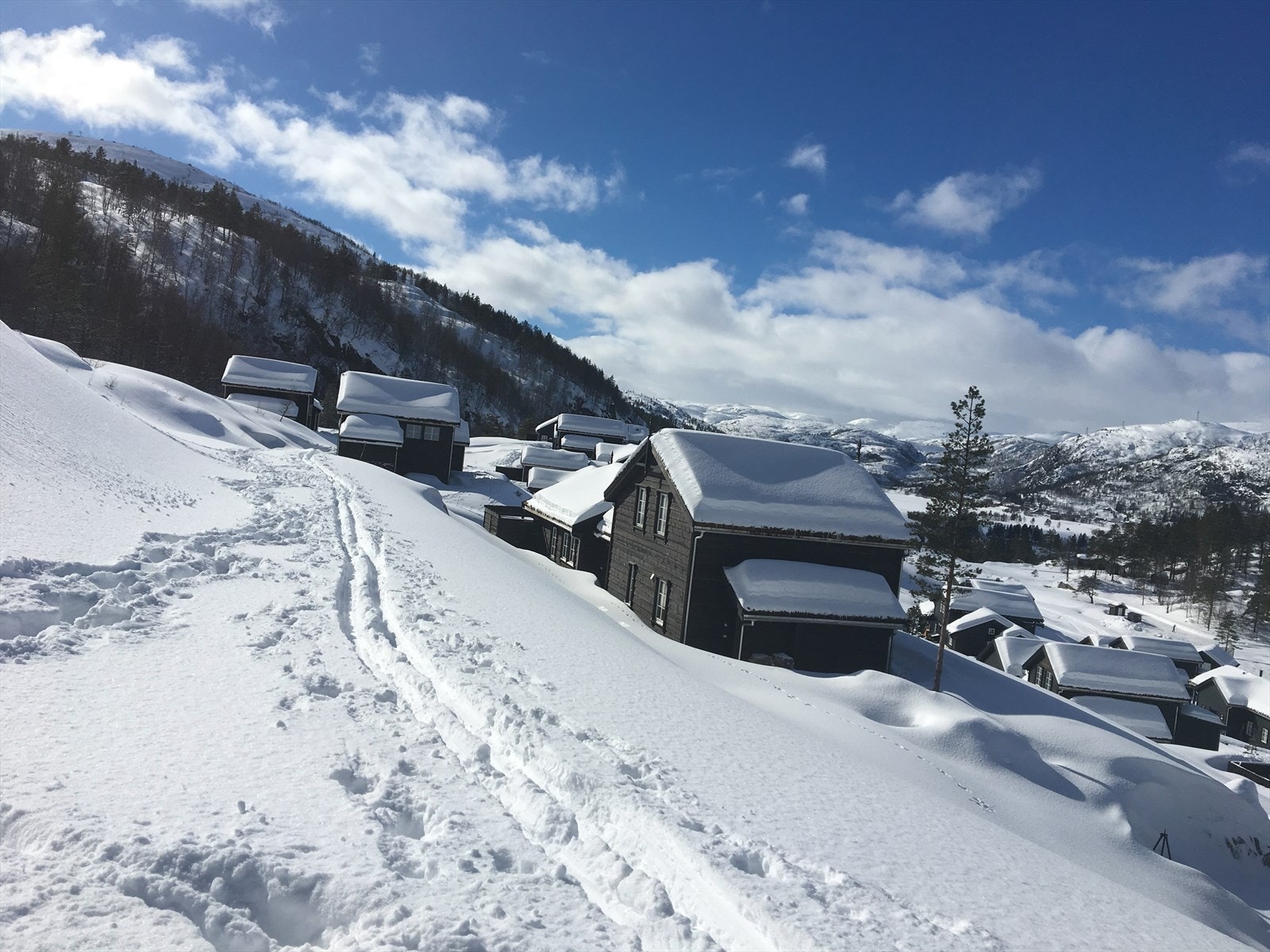 Privat bilde: Her kan du virkelig nyte vinteren, med skisporet like utenfor hytteveggen. På feltet finner du også gode akeforhold for både store og små. Galleribilde