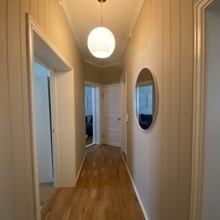 Hallway Galleribilde