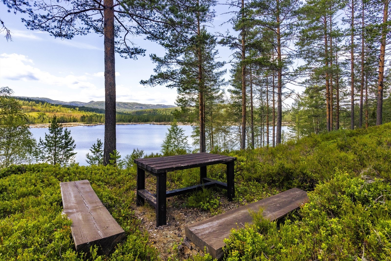 Flott vestvendt beliggenhet med gode solforhold og nærhet til vannet. Galleribilde