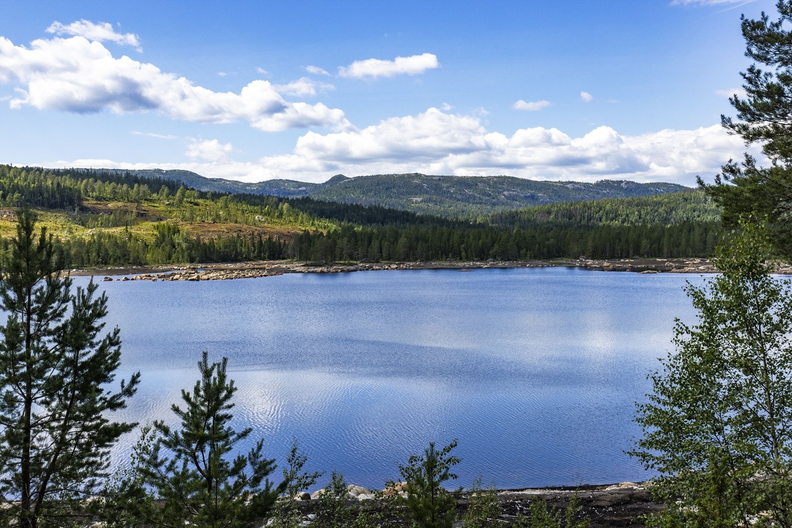 Det er kun få meter til vannkanten med gode bade og fiske-muligheter. Galleribilde