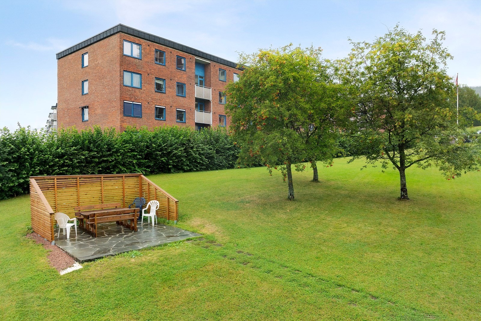 Felles tomt opparbeidet med asfalterte gangstier, gressplen og beplantninger. Galleribilde